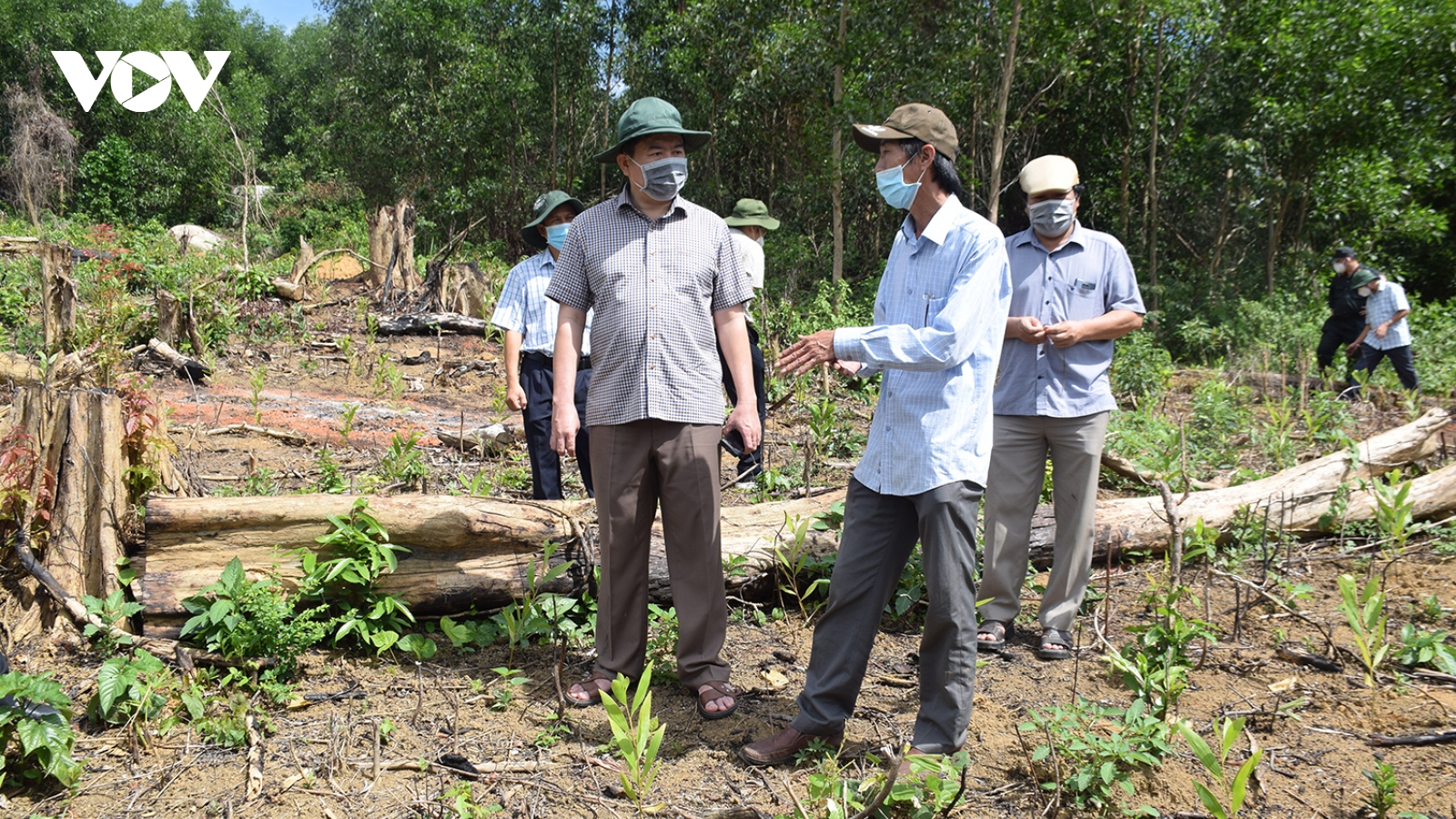Chủ tịch UBND tỉnh Phú Yên kiểm tra hiện trường rừng phòng hộ Sơn Hòa bị tàn phá
