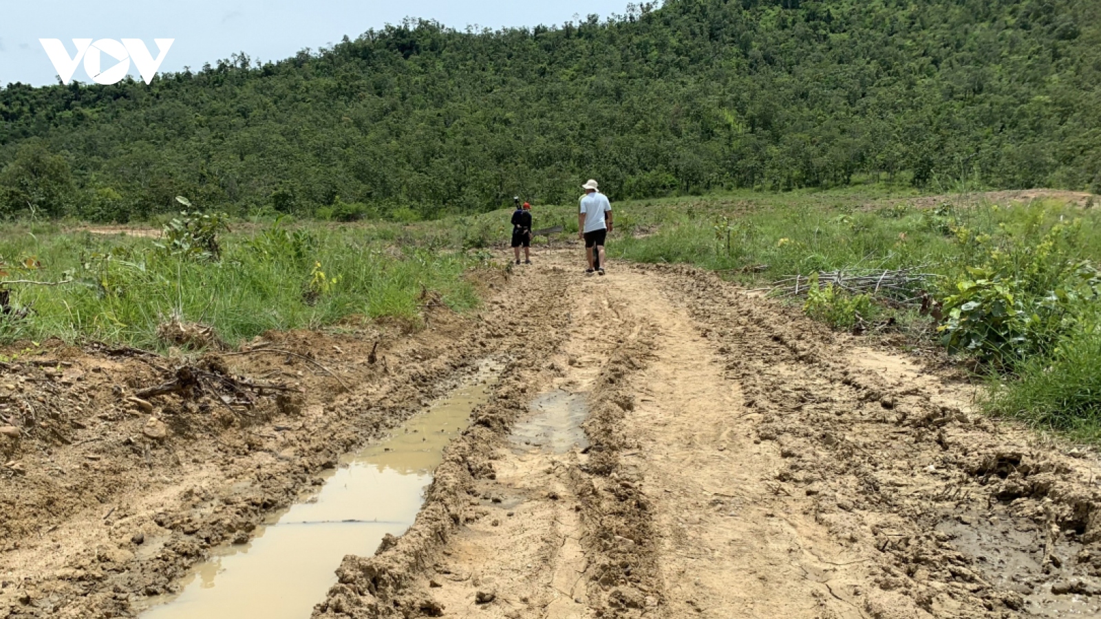 Vụ phá 34,6 ha rừng phòng hộ: Kỷ luật nhiều cán bộ, khởi tố vụ án "huỷ hoại rừng"