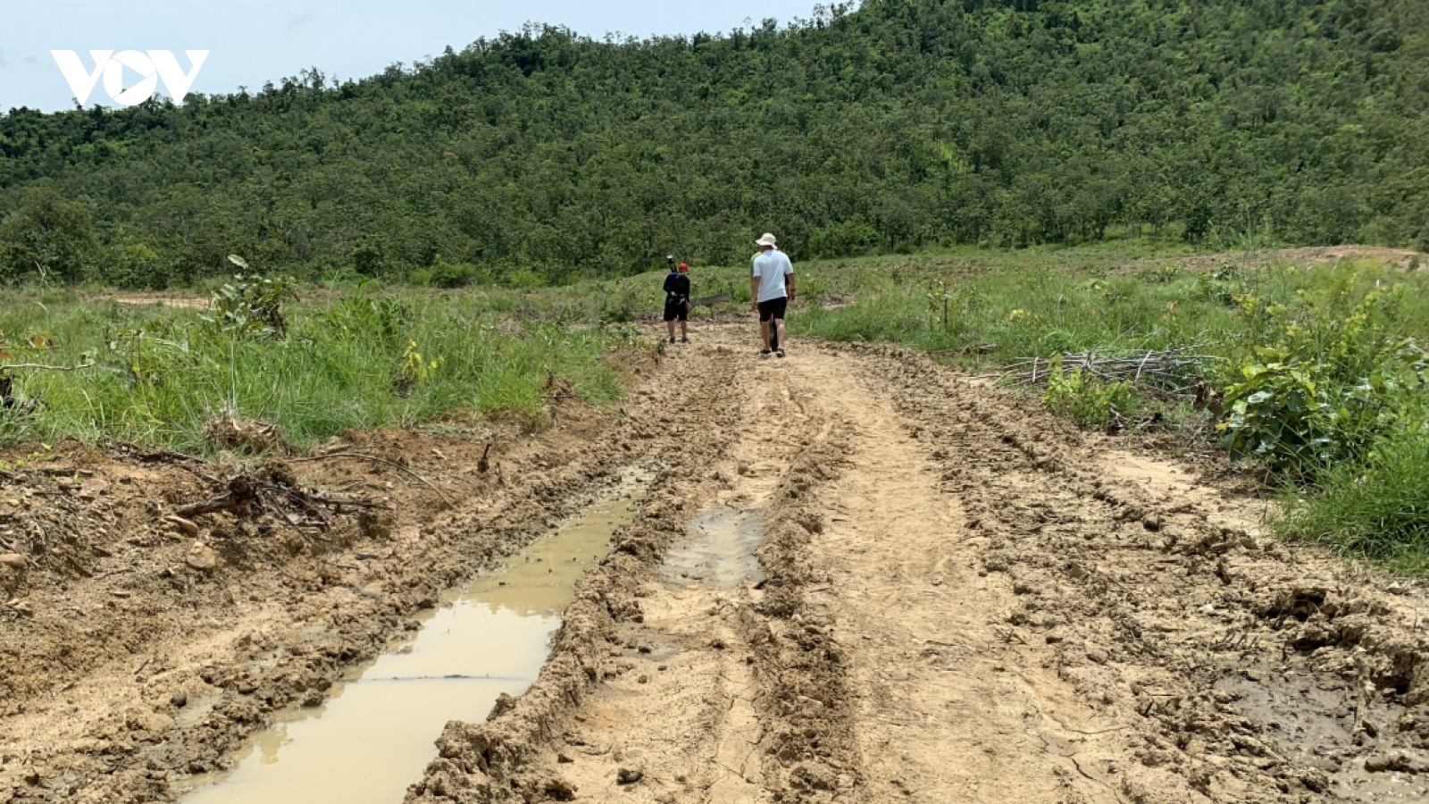 Vụ phá 34,6 ha rừng phòng hộ: Kỷ luật nhiều cán bộ, khởi tố vụ án "huỷ hoại rừng"