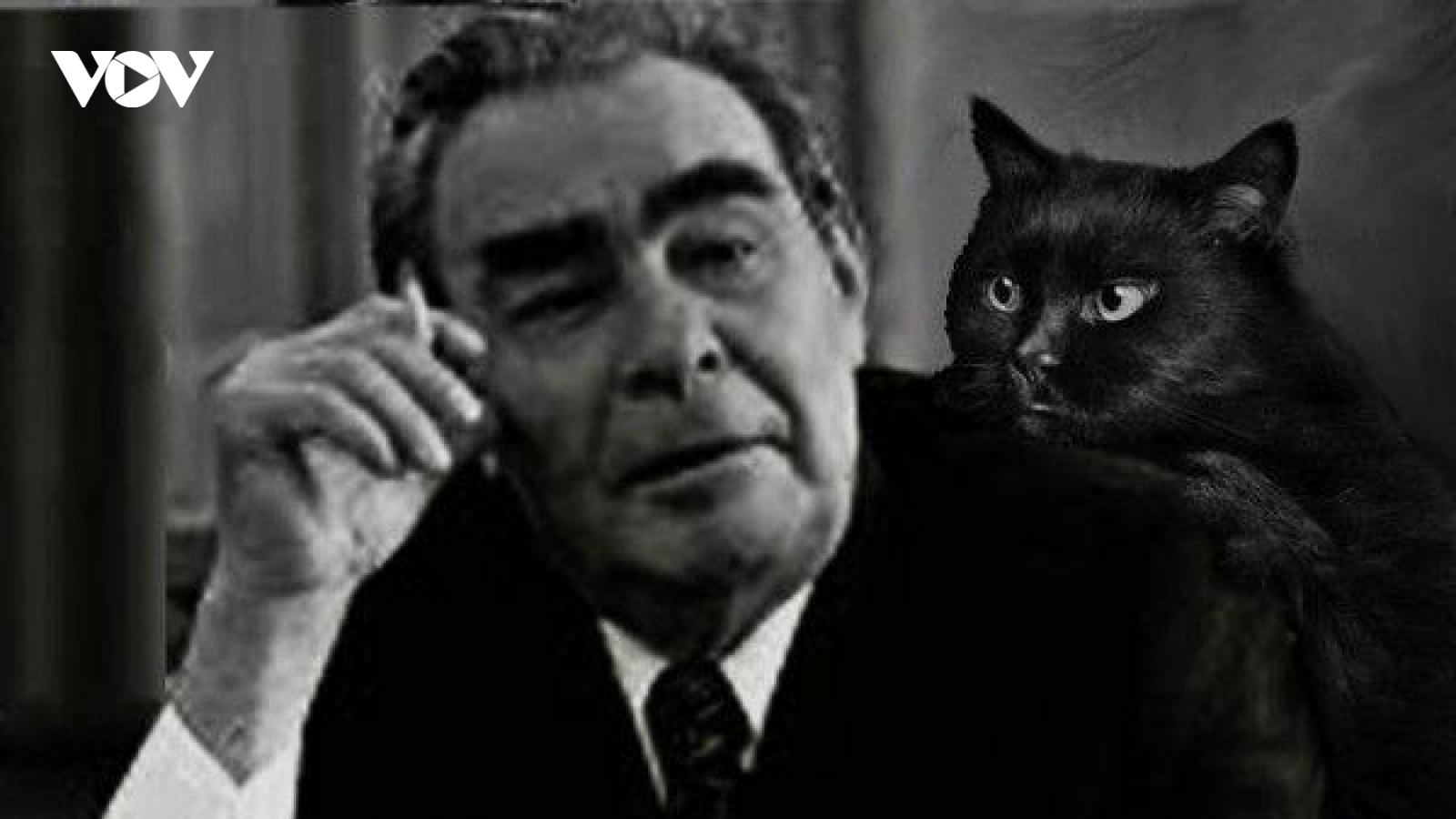 Con mèo do Đức Đạt Lai Lạt Ma tặng đã nhiều lần cứu mạng nhà lãnh đạo Brezhnev