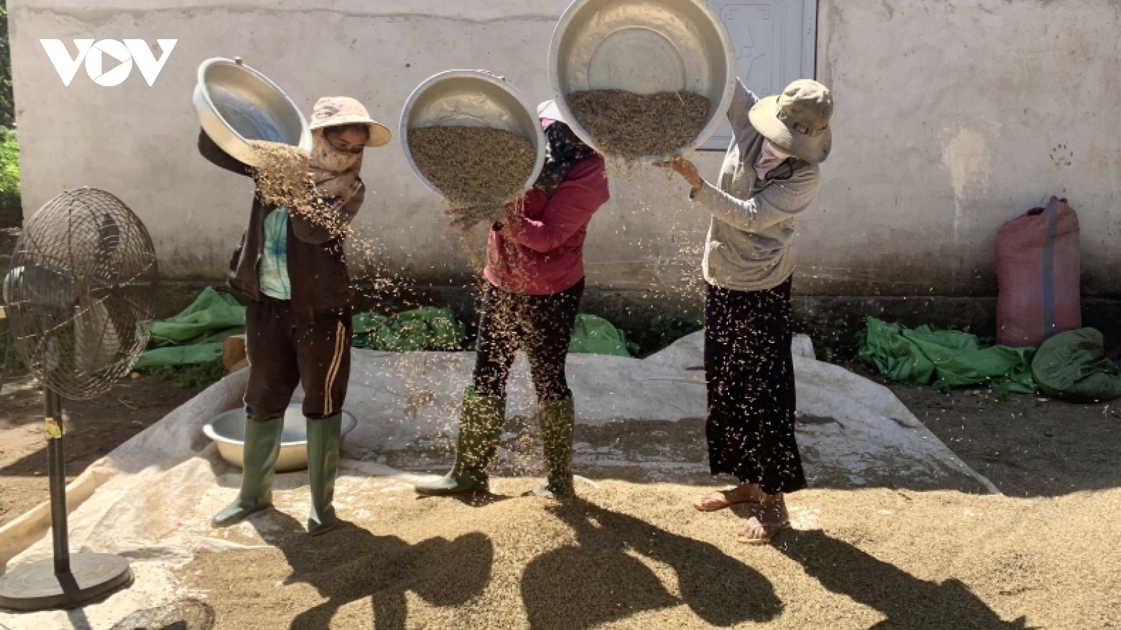 Đắk Lắk chủ động chuyển trạng thái thích ứng an toàn để hoàn thành “mục tiêu kép”