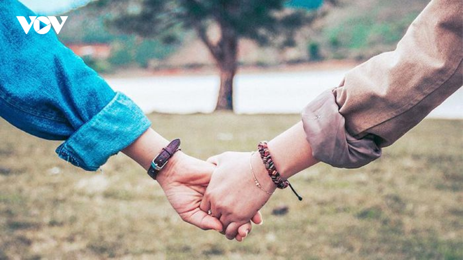 Hôn nhân muốn hạnh phúc, chỉ yêu thôi chưa đủ…