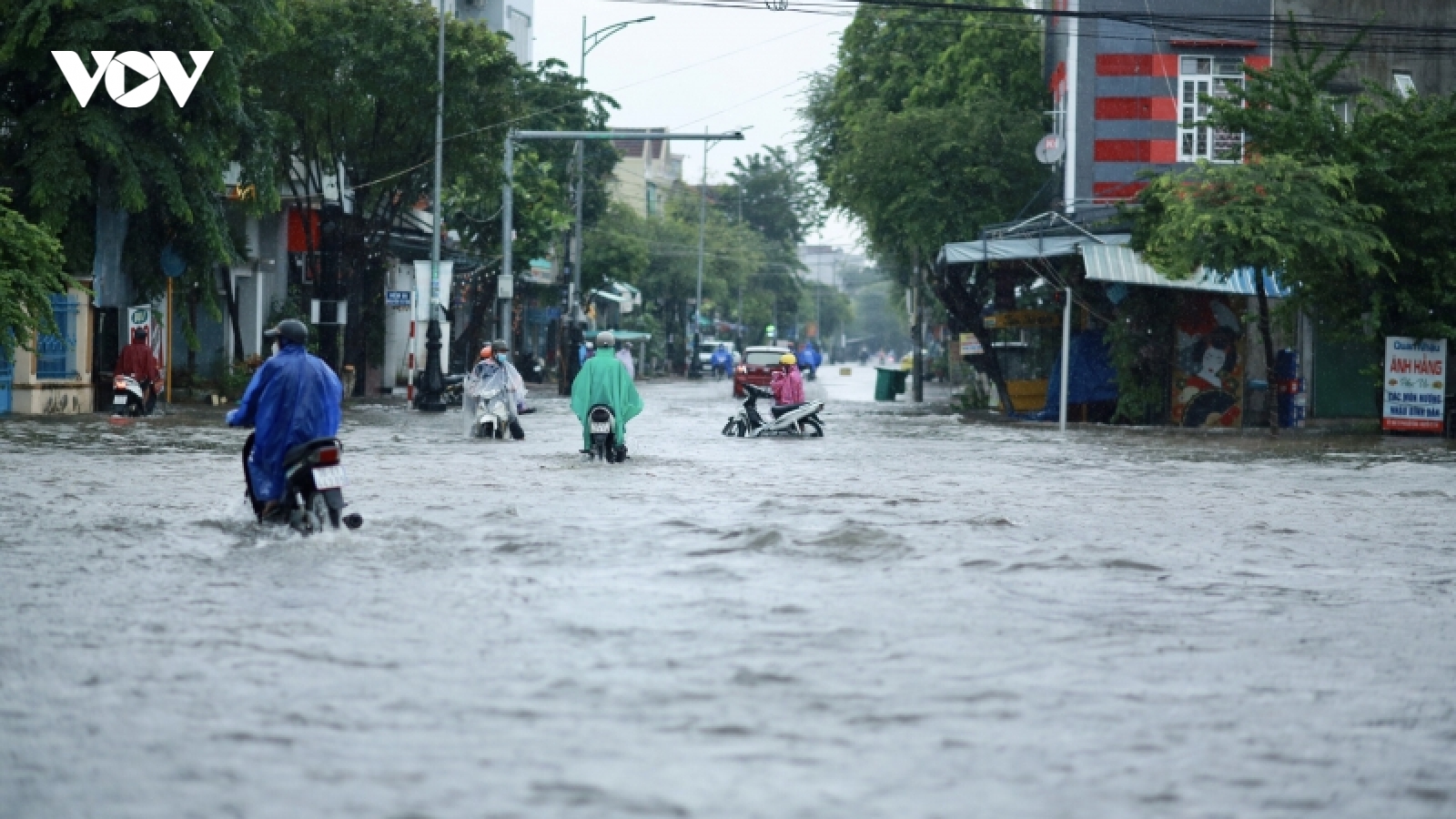 Mưa lũ lớn gây ngập vùng trũng thấp, một người mất tích ở Quảng Ngãi