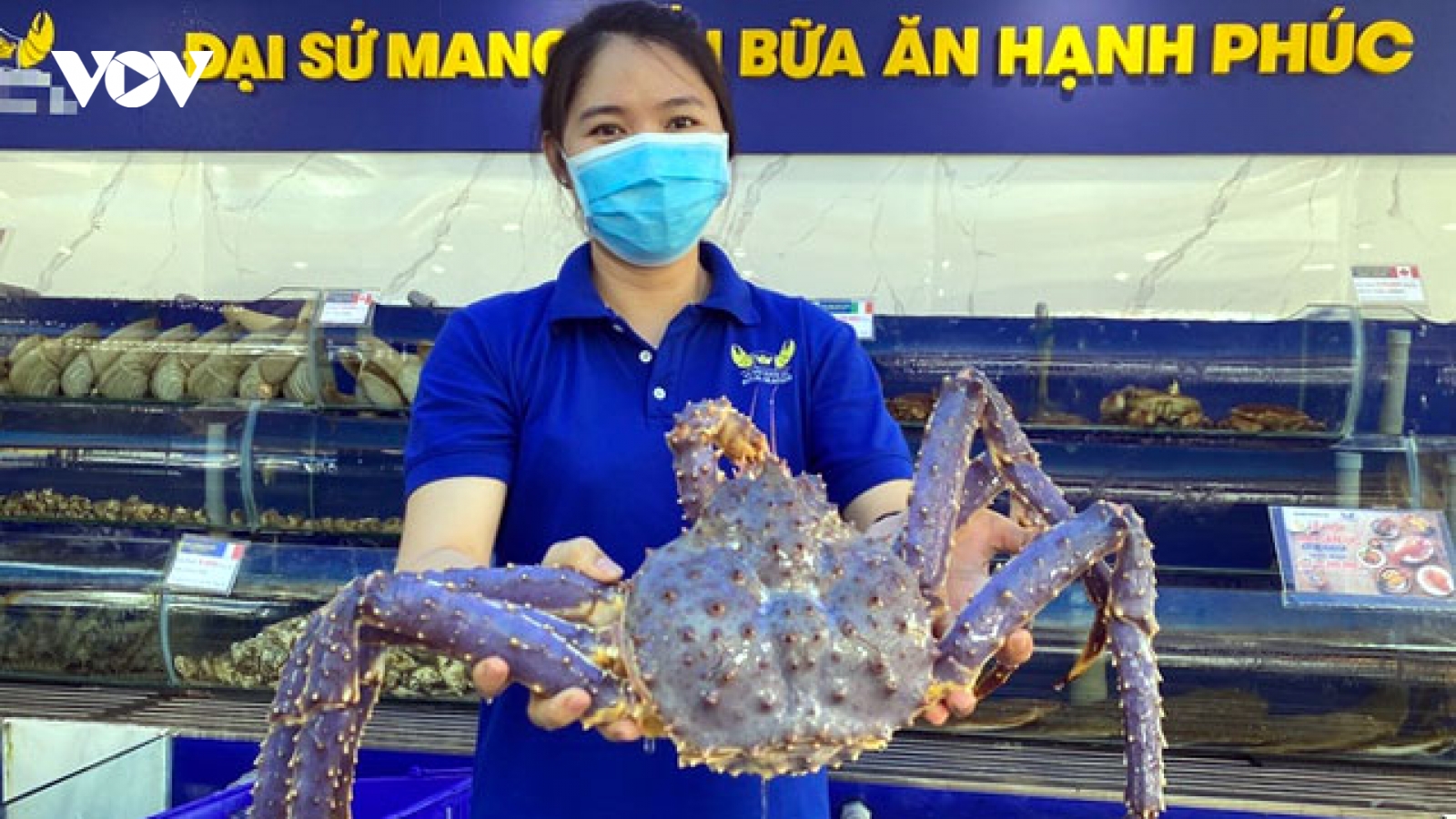 Cua tím siêu hiếm được trả giá 50 triệu đồng vẫn không bán