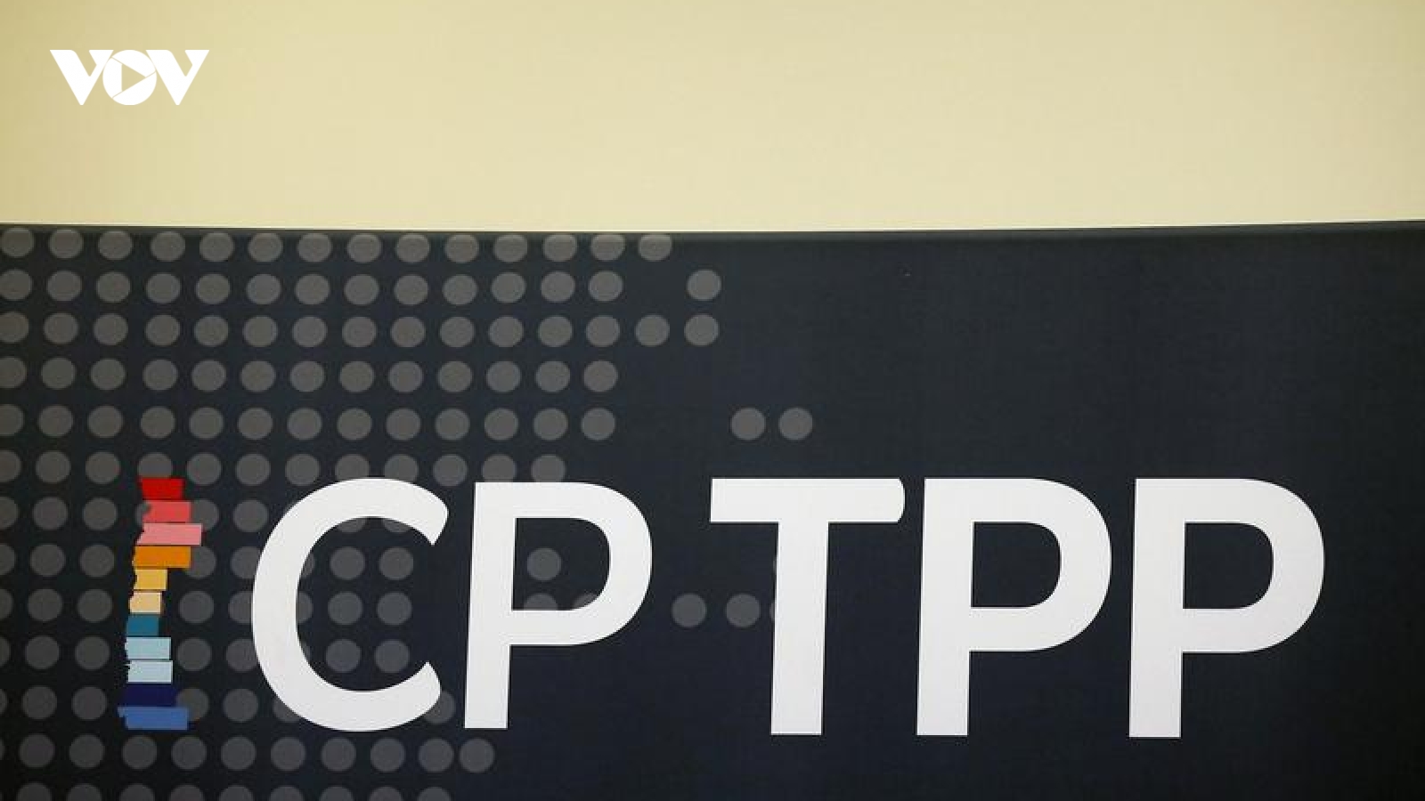 Trung Quốc xin gia nhập CPTPP, Mỹ và các nước thành viên "lo ngay ngáy"