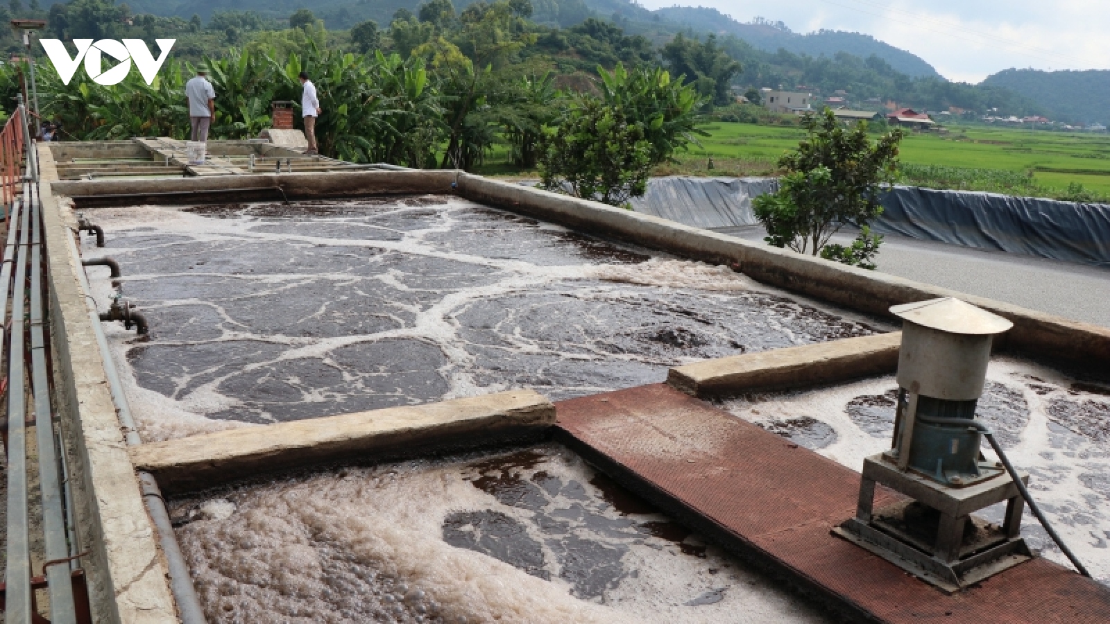 Bảo vệ môi trường trong mùa chế biến ở “thủ phủ” cà phê Sơn La