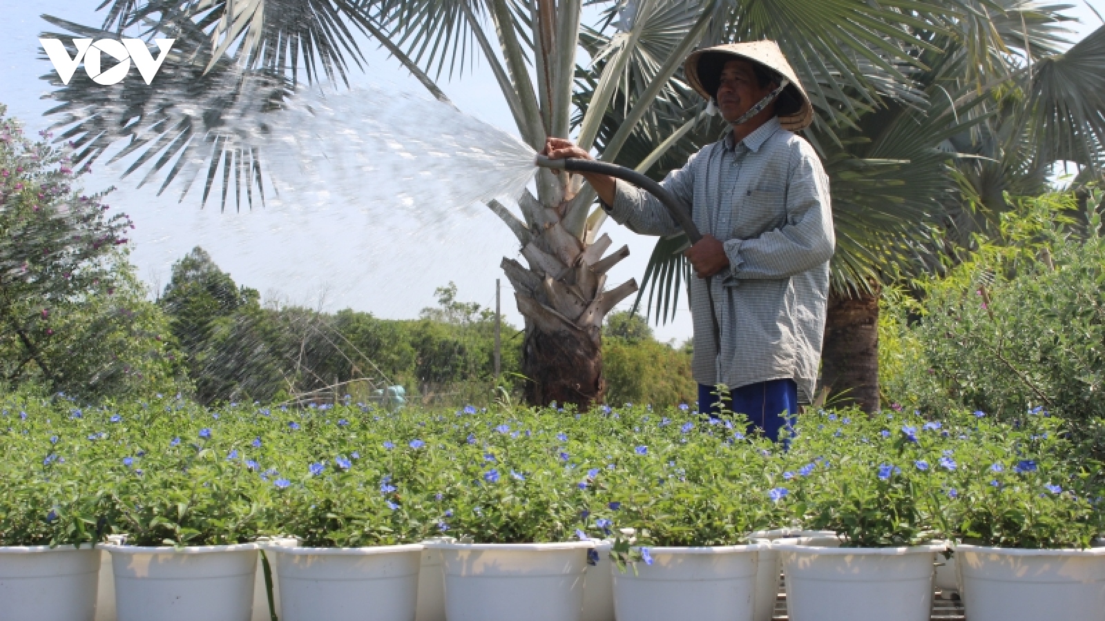 Người lao động bị ảnh hưởng dịch tại Vĩnh Long được vay 100 triệu đồng để tái sản xuất
