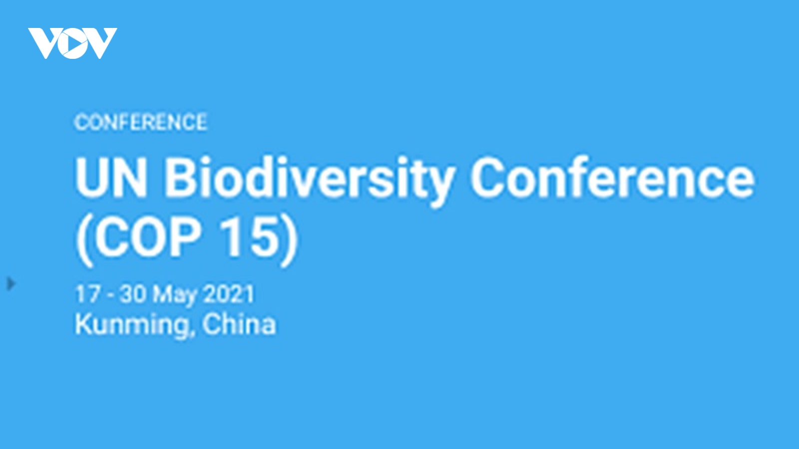 COP 15 khai mạc tại Trung Quốc: Thế giới cần cam kết rõ ràng về đa dạng sinh học
