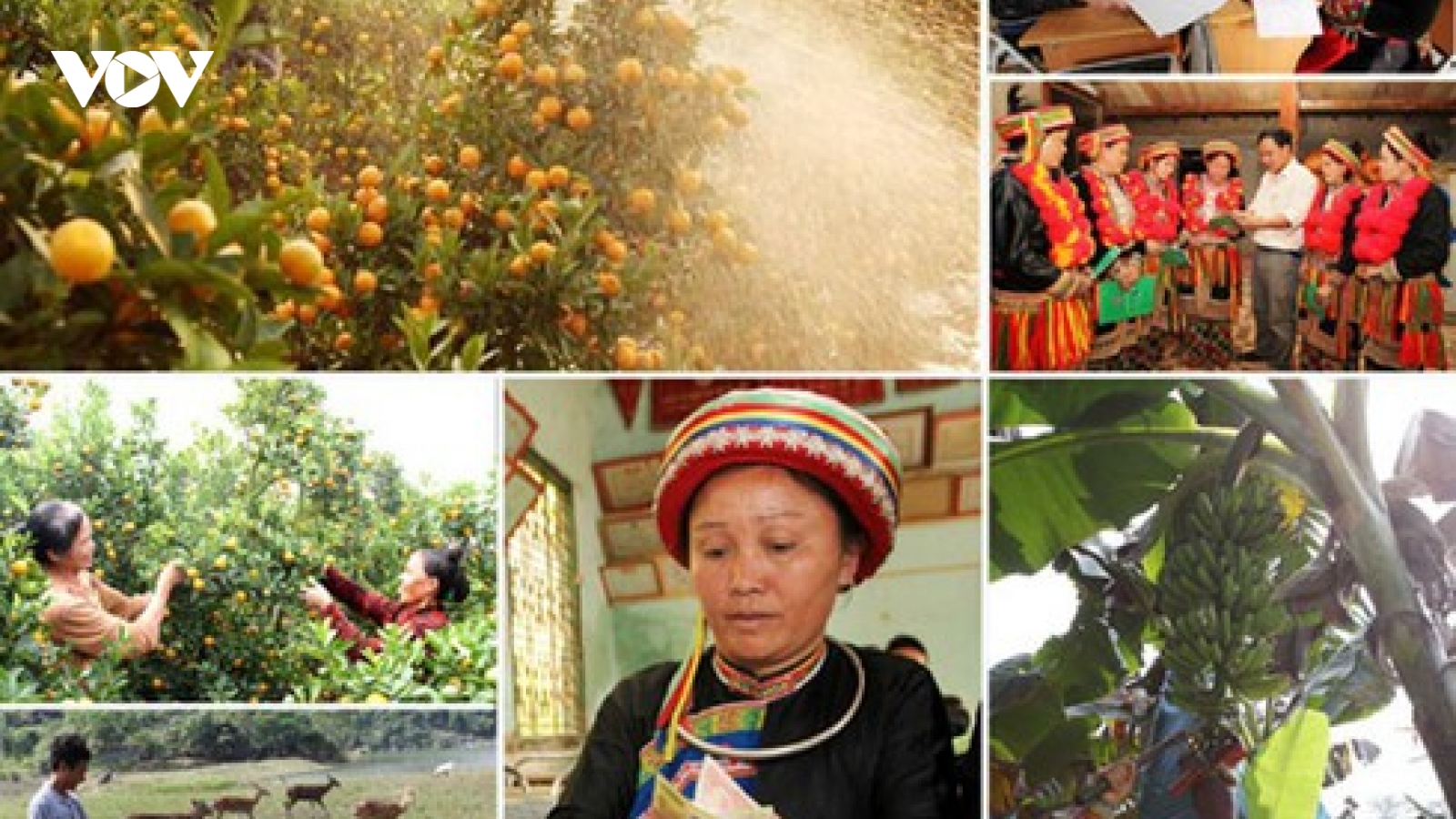 Năm 2025, phấn đấu thu nhập bình quân của người dân tộc thiểu số tăng trên 2 lần