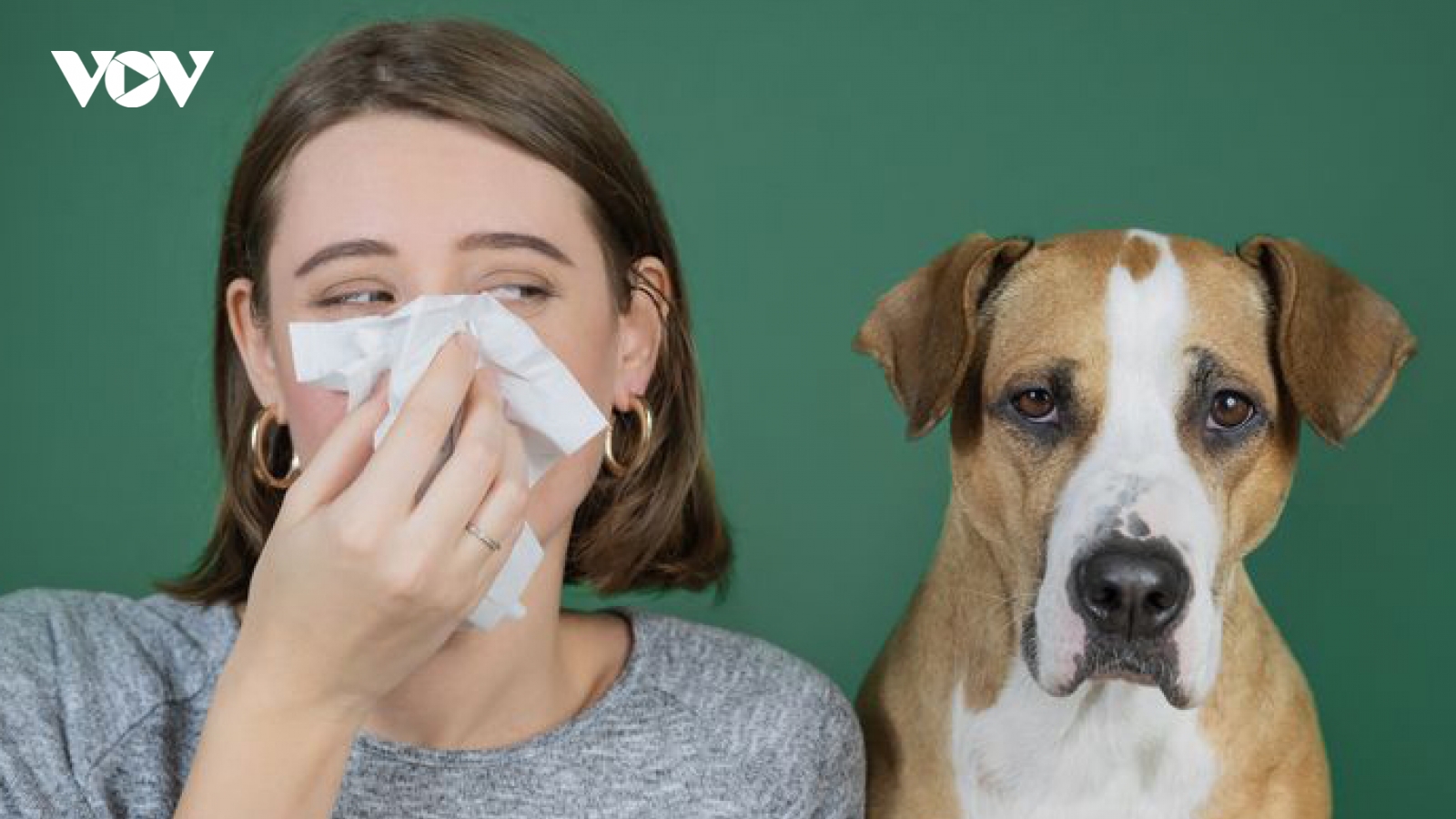 Người viêm mũi xoang, viêm họng dị ứng có nên nuôi thú cưng?