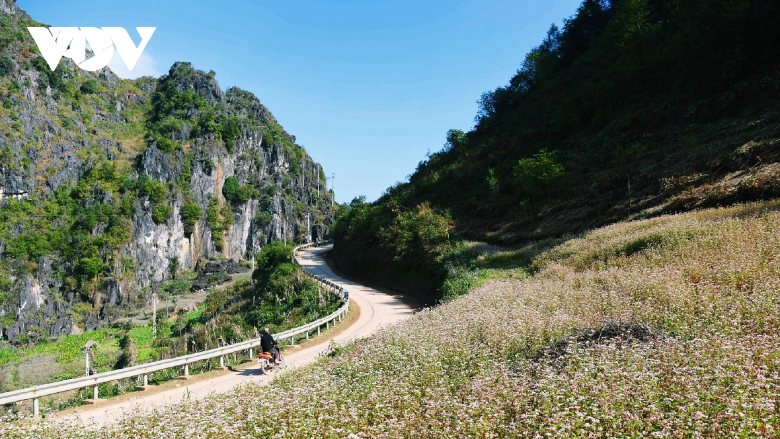 Loạt tour du lịch tháng 10, tháng 11 sẵn sàng nhận khách