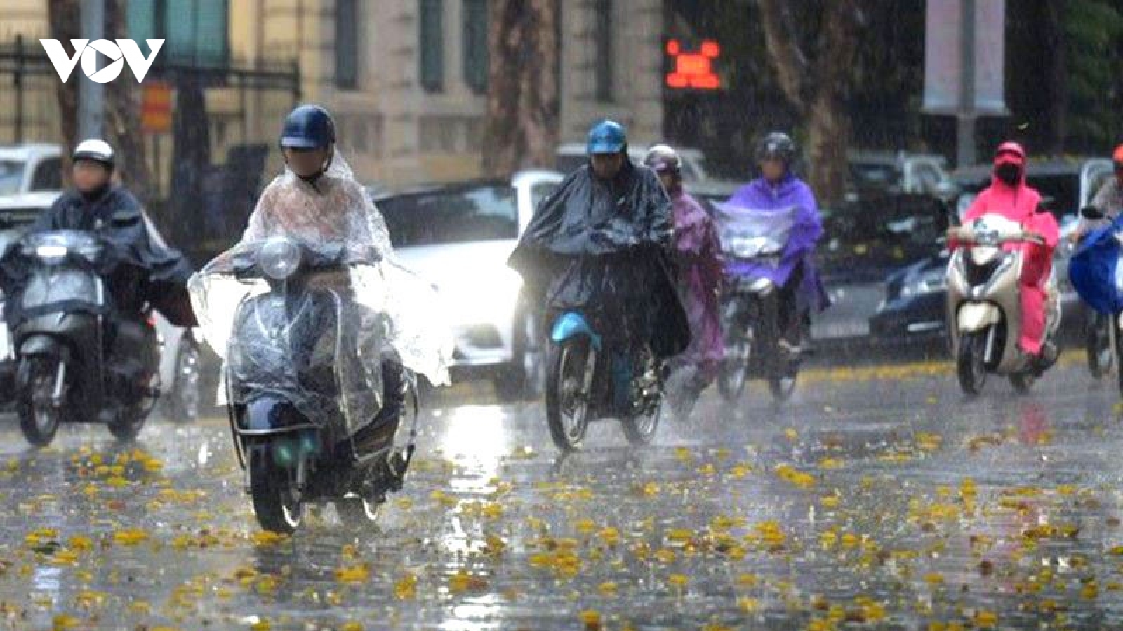 Dự báo thời tiết hôm nay: Mưa dông khắp cả nước, miền Bắc trời lạnh