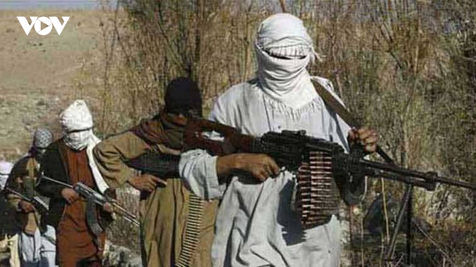 Taliban Afghanistan không muốn làm quân cờ cho Pakistan trong xử lý khủng bố TTP