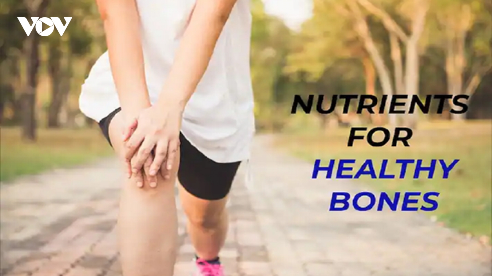 Các chất dinh dưỡng giúp xương khỏe mạnh