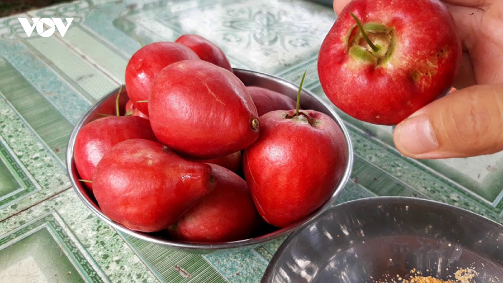 Quả lạ đỏ như son - món ăn vặt mới, chị em lùng mua từ miền Tây