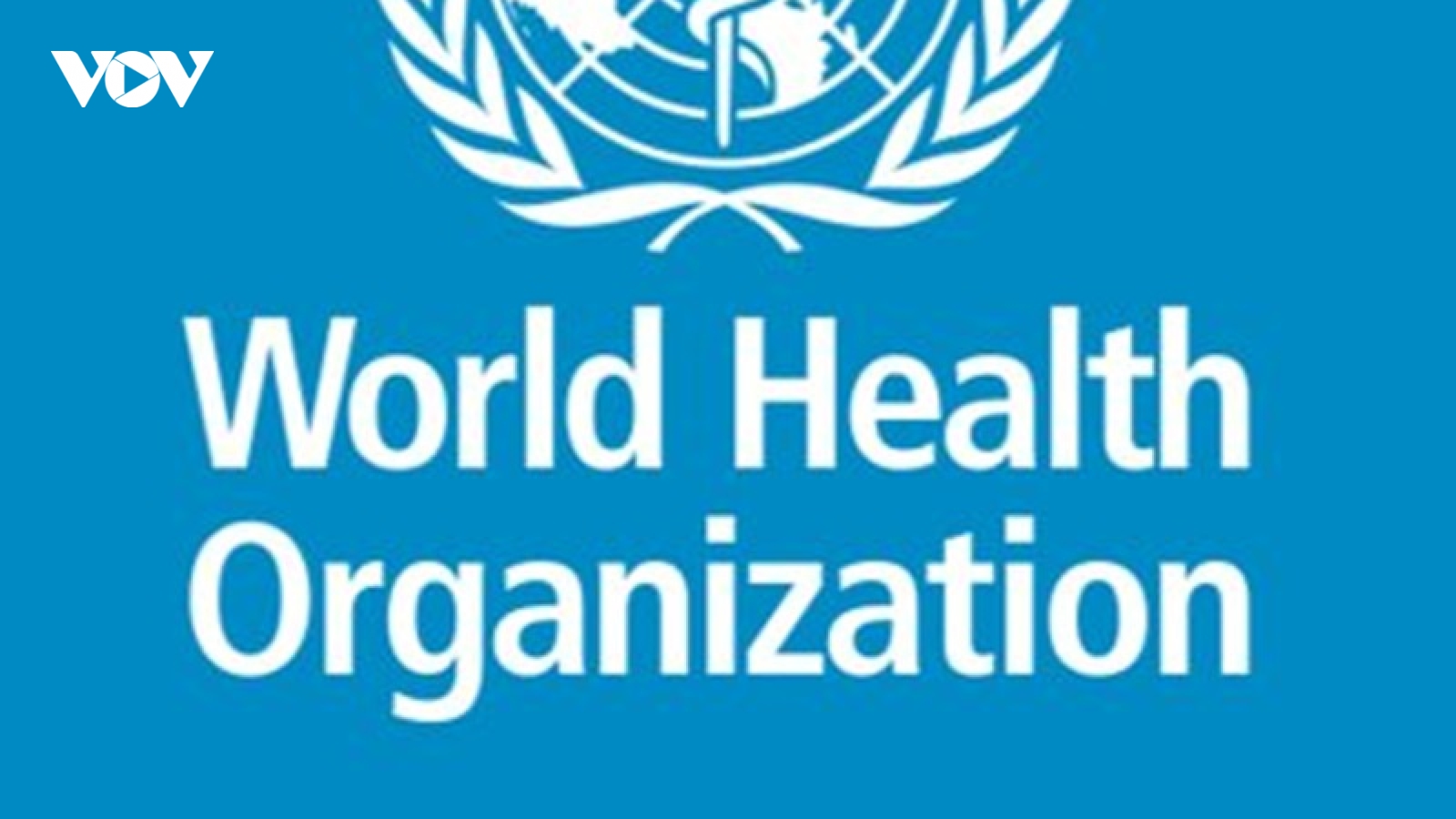 EC đình chỉ tài trợ các hoạt động nhân đạo của WHO ở Congo do bê bối tình dục
