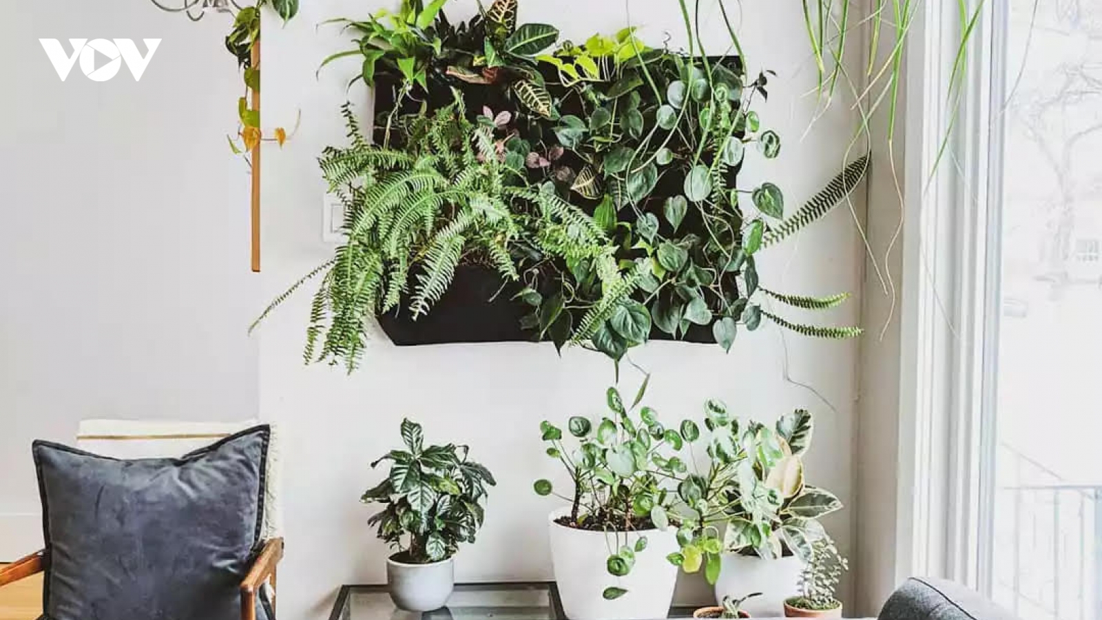 Những cách trang trí tường độc đáo giúp làm mới ngôi nhà của bạn