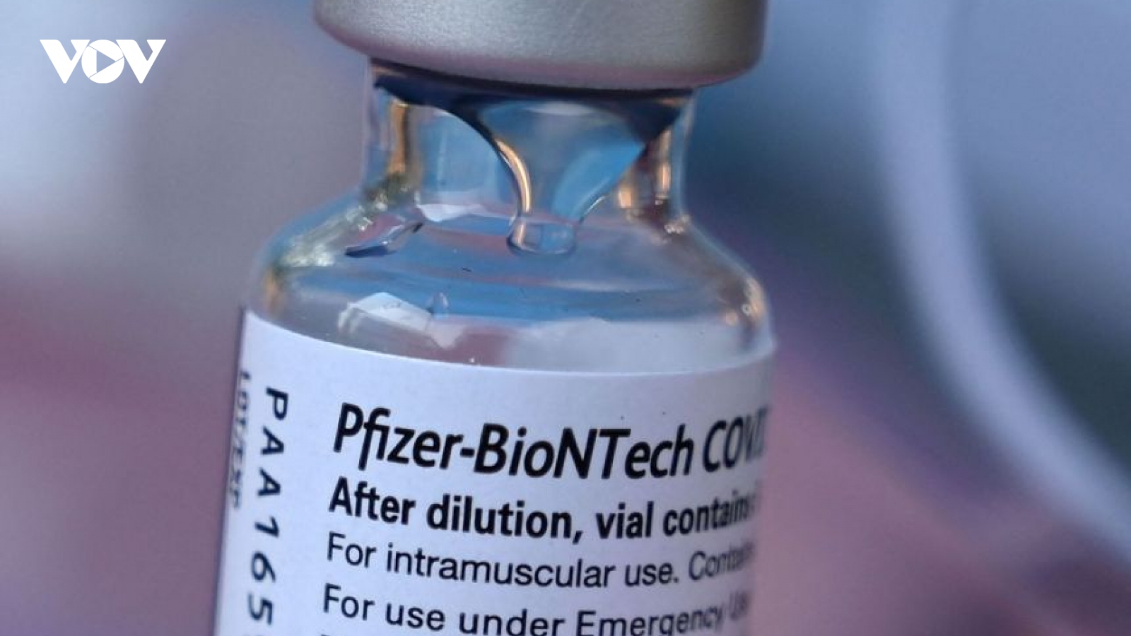 Bang đầu tiên ở Mỹ đề nghị được tiêm mũi vaccine ngừa Covid-19 thứ tư