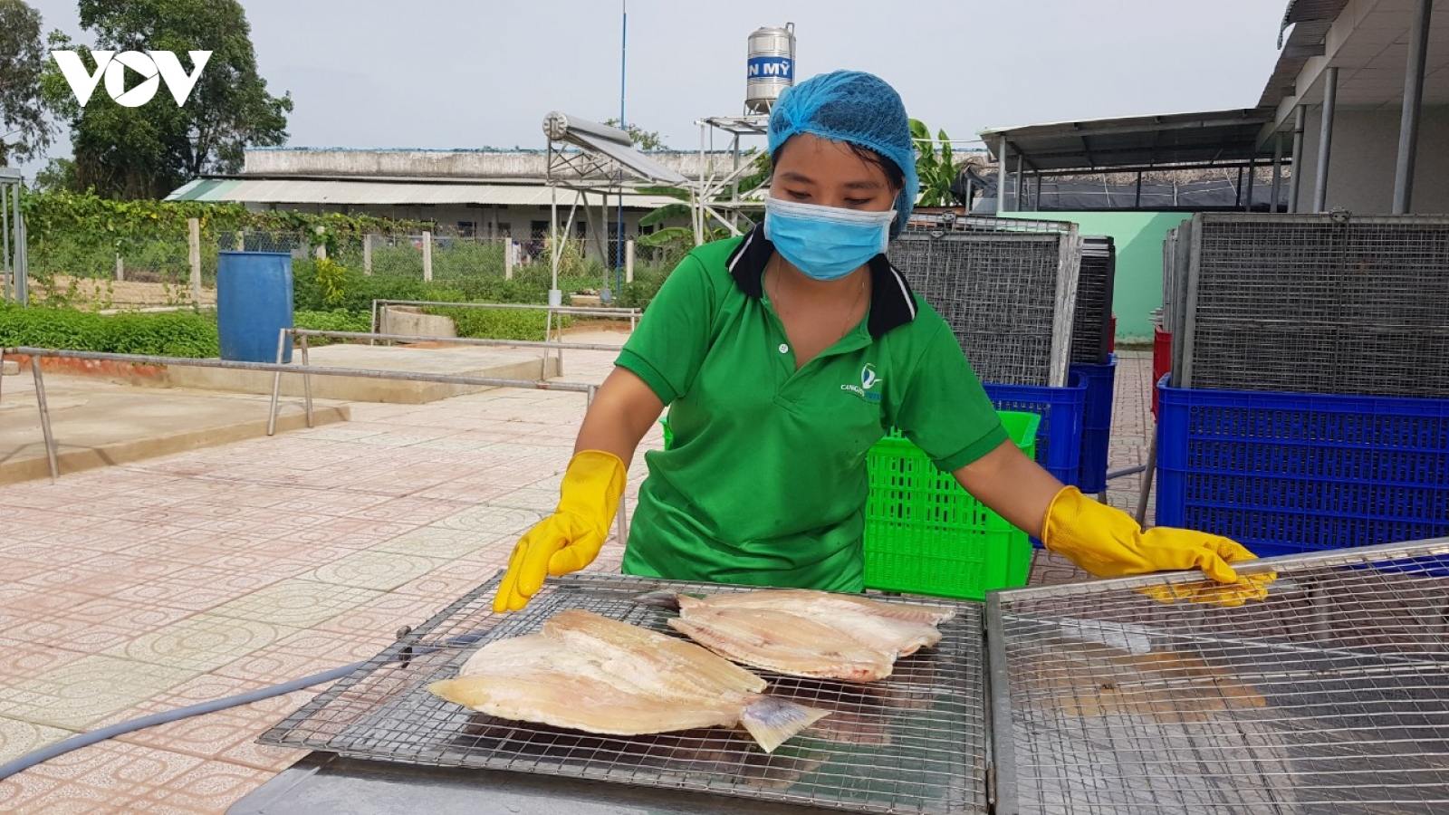 Doanh nghiệp nông nghiệp cần "tồn tại" trước khi tính chuyện phục hồi