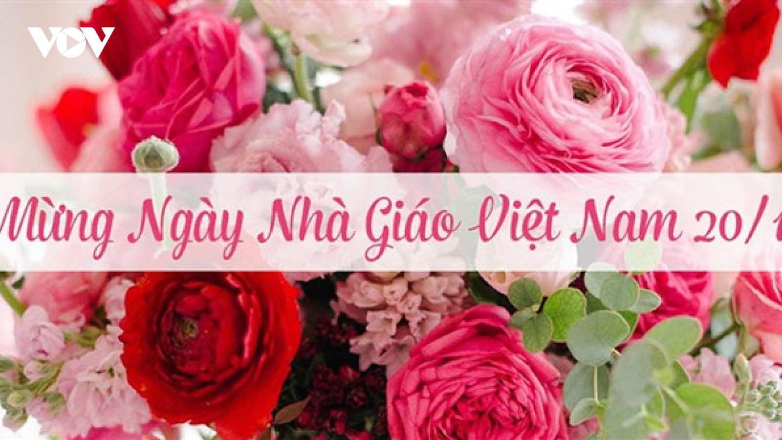 Điểm mặt những món quà ý nghĩa tặng thầy cô nhân ngày 20/11