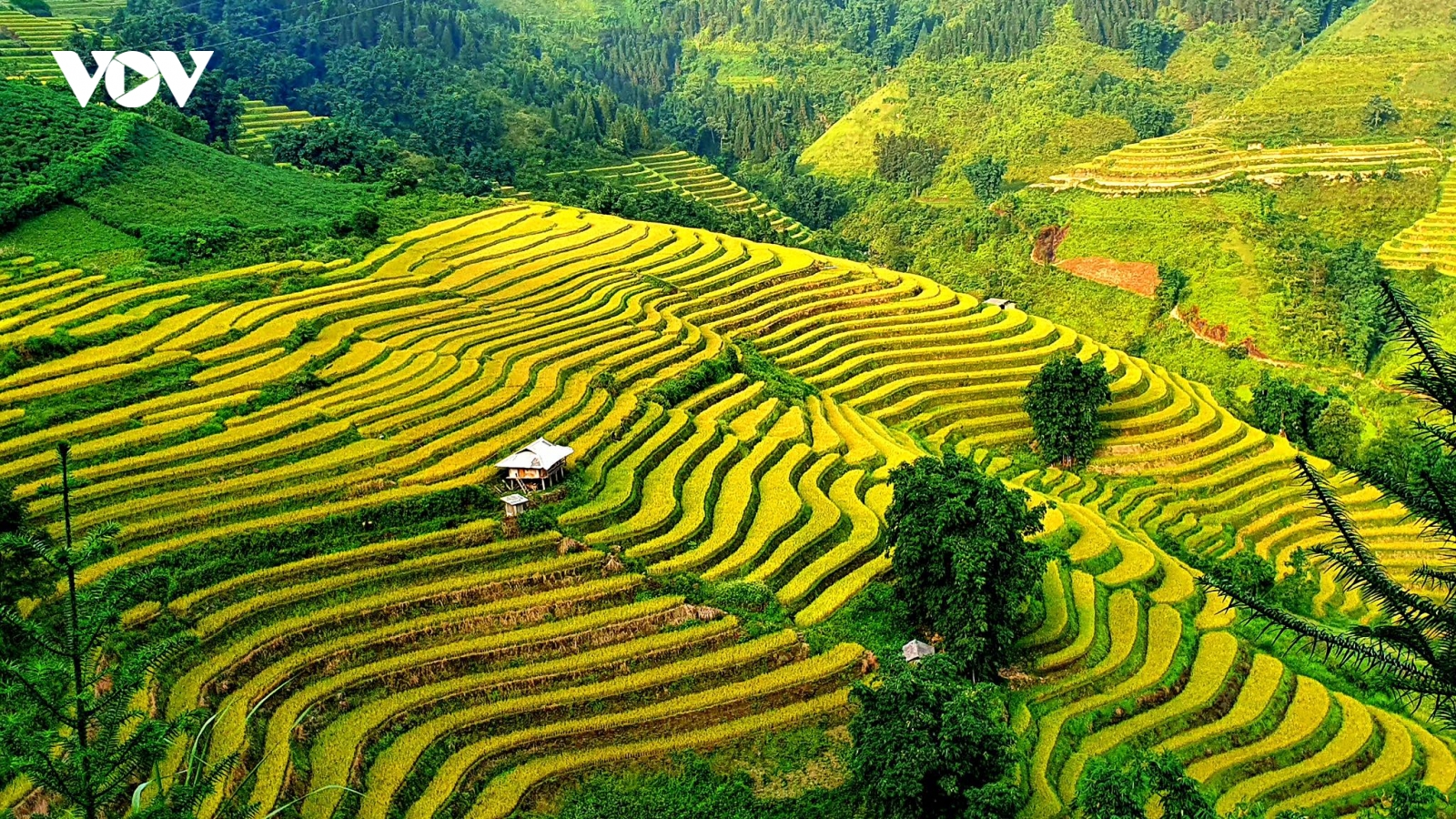 "Hương sắc Lào Cai" tô đậm vẻ đẹp bản sắc và tinh hoa văn hoá Tây Bắc