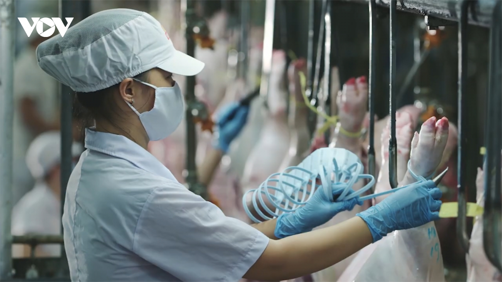 Nhiều doanh nghiệp không dám bung ra sản xuất hàng Tết