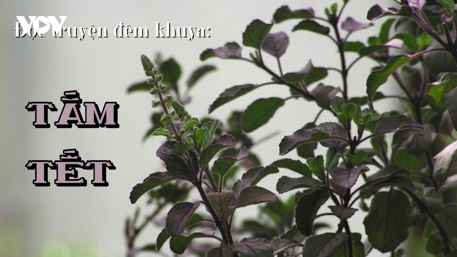 Truyện ngắn "Tắm Tết" - Níu giữ chân quê