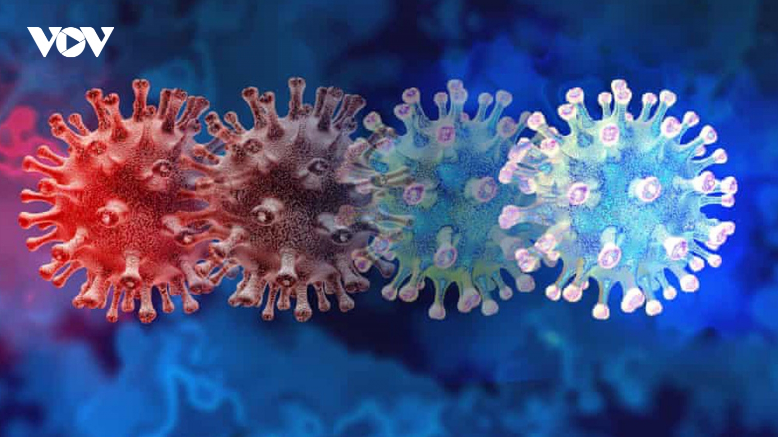Vaccine kém hiệu quả trước biến thể mới B.1.1.529 với số lượng đột biến cao