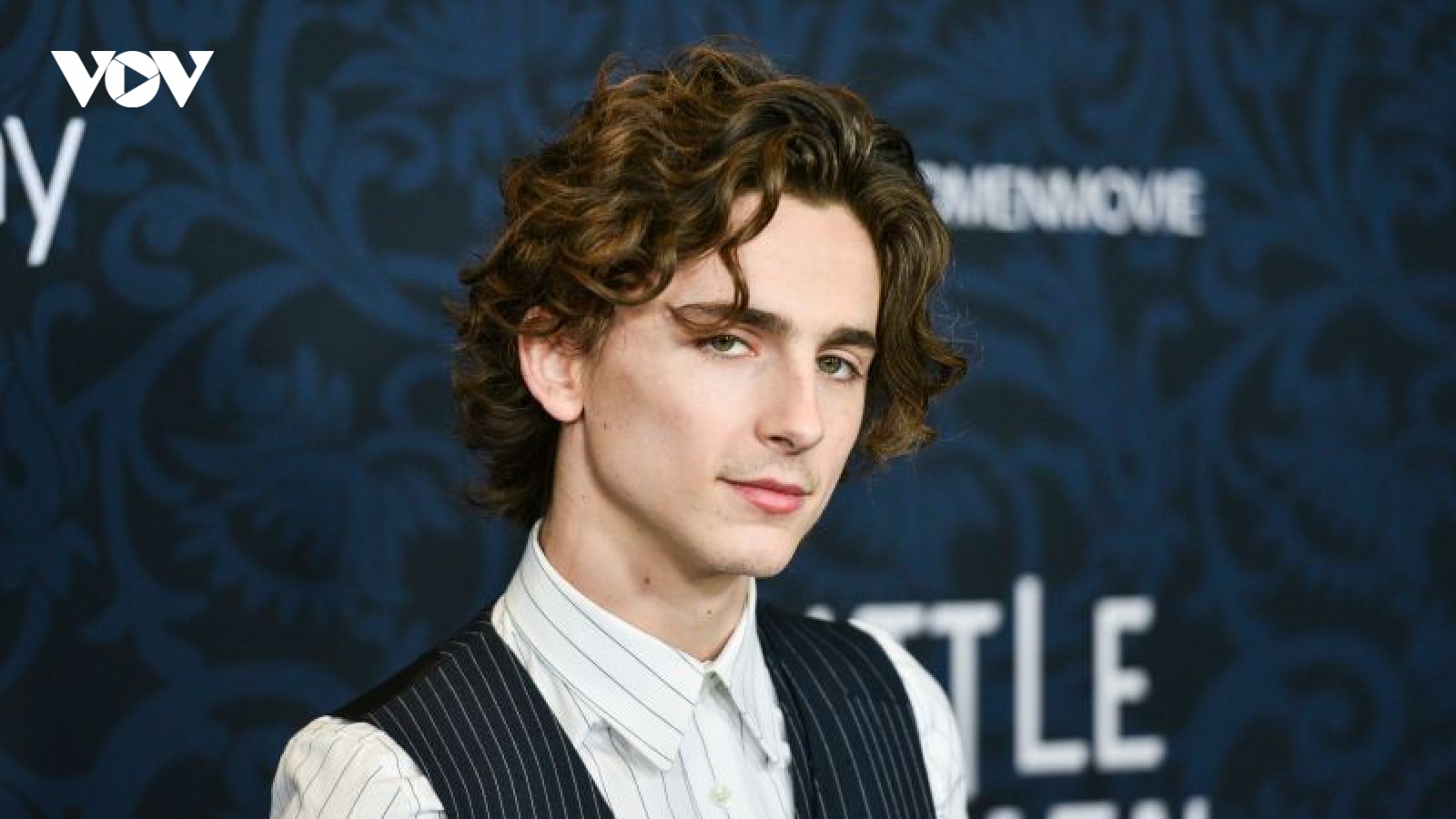 Những bước tiến dài của "chàng thơ" Timothée Chalamet tại Hollywood