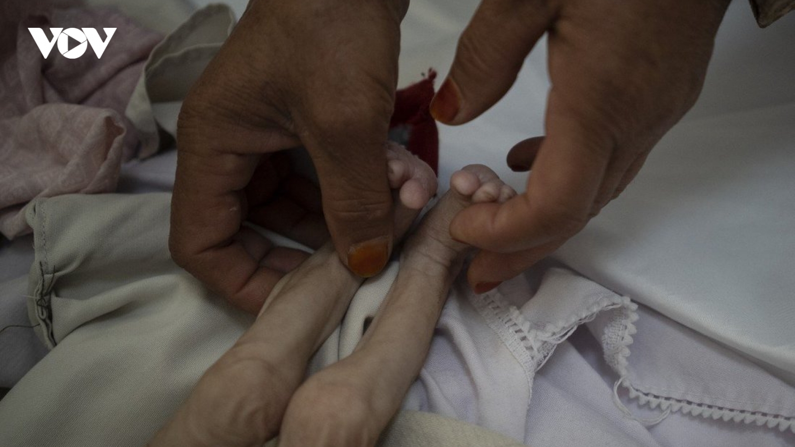 60% dân số thiếu ăn, Afghanistan đối diện nạn đói nghiêm trọng
