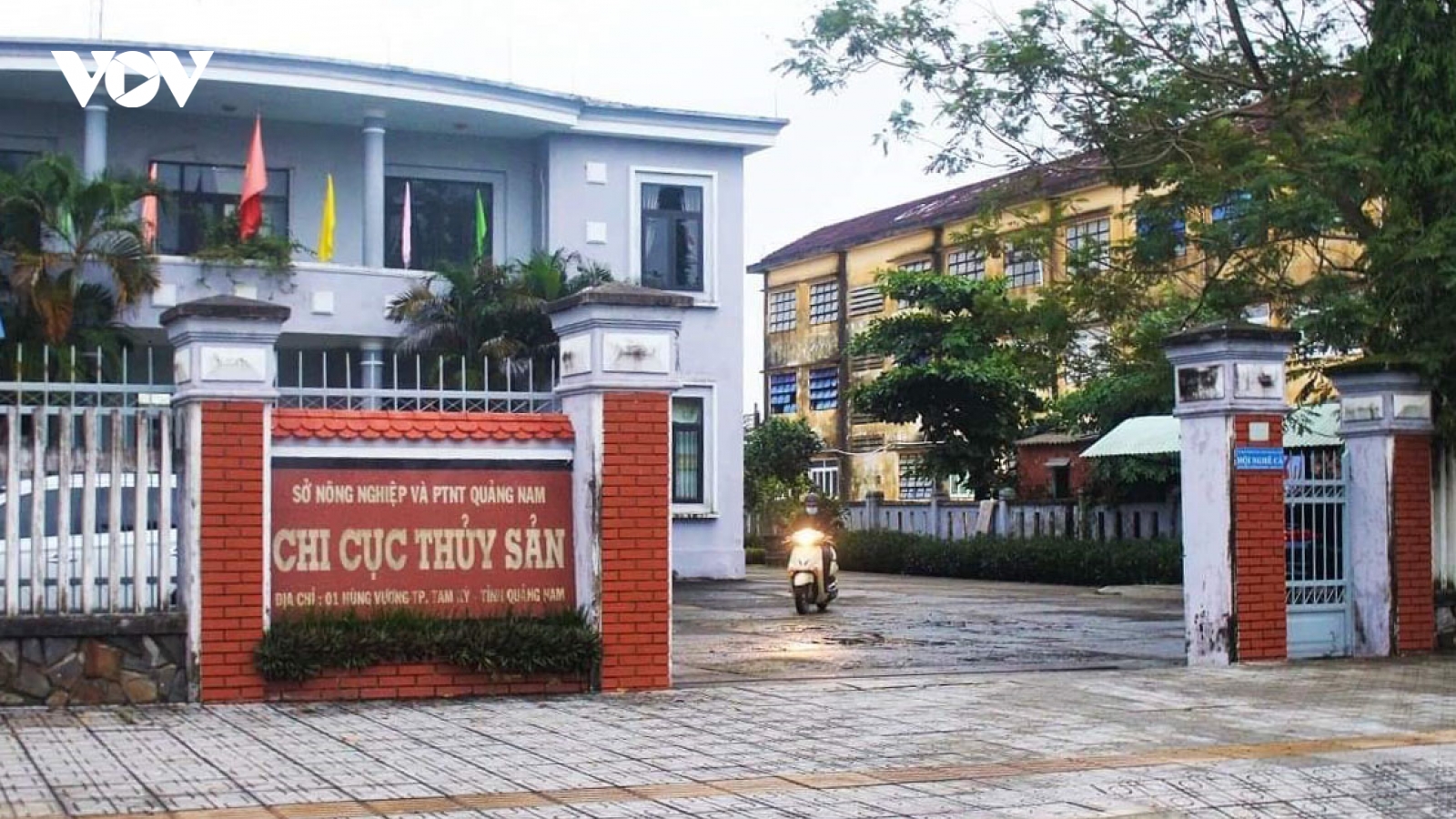 Cách chức Chi cục trưởng Chi cục Thủy sản tỉnh Quảng Nam