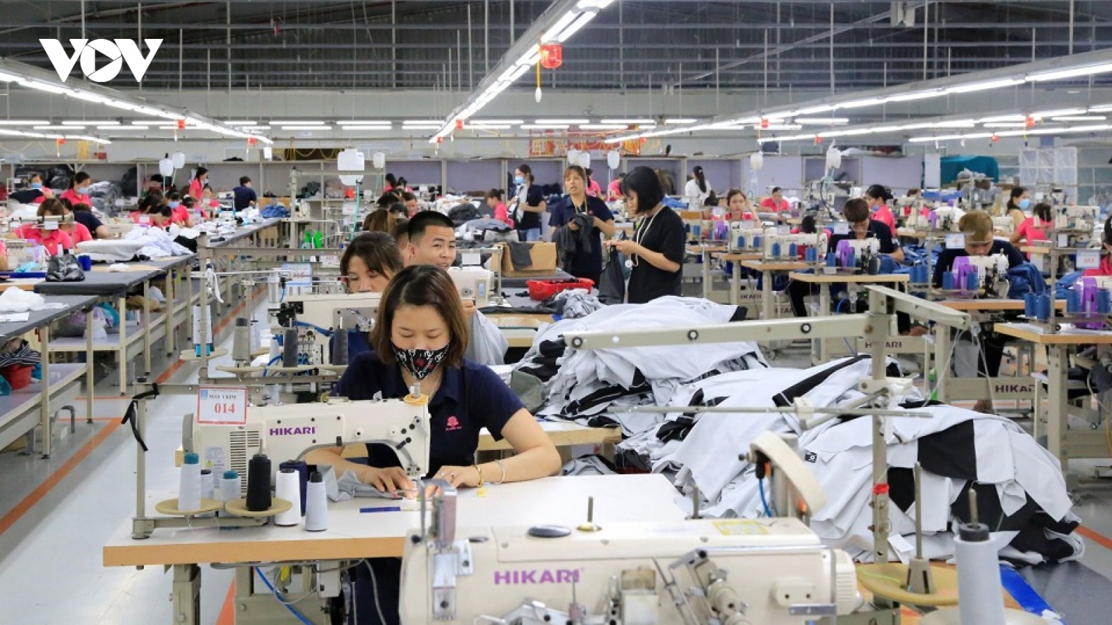 Bất chấp dịch bệnh, kim ngạch xuất nhập khẩu của tỉnh Thái Bình tăng vẫn tăng mạnh