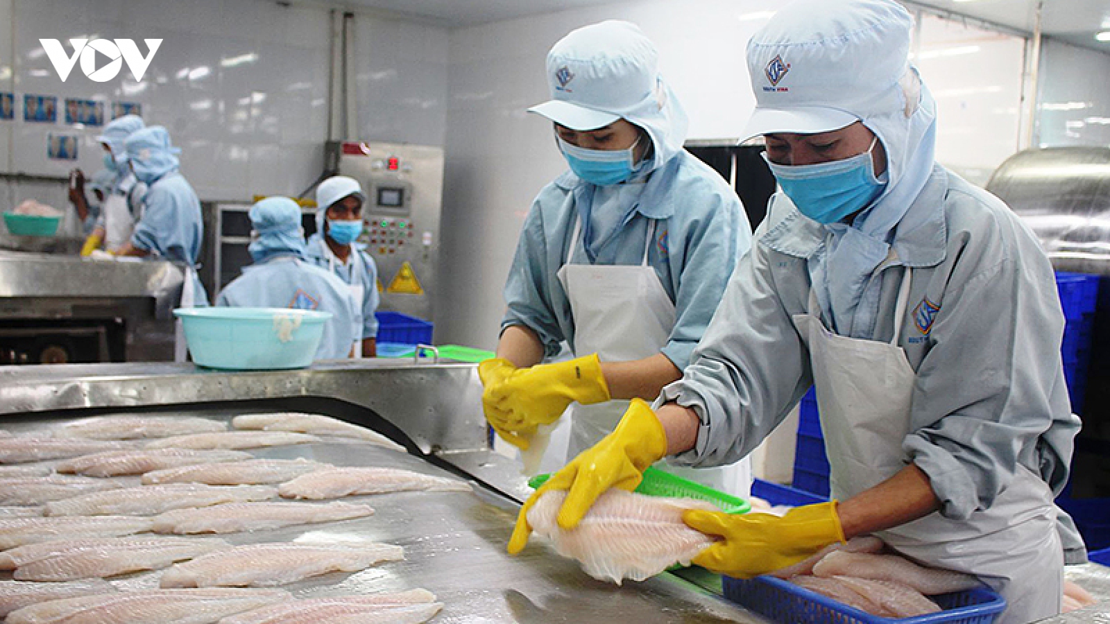 Xuất khẩu nông, lâm, thủy sản năm nay sẽ vượt 44 tỷ USD