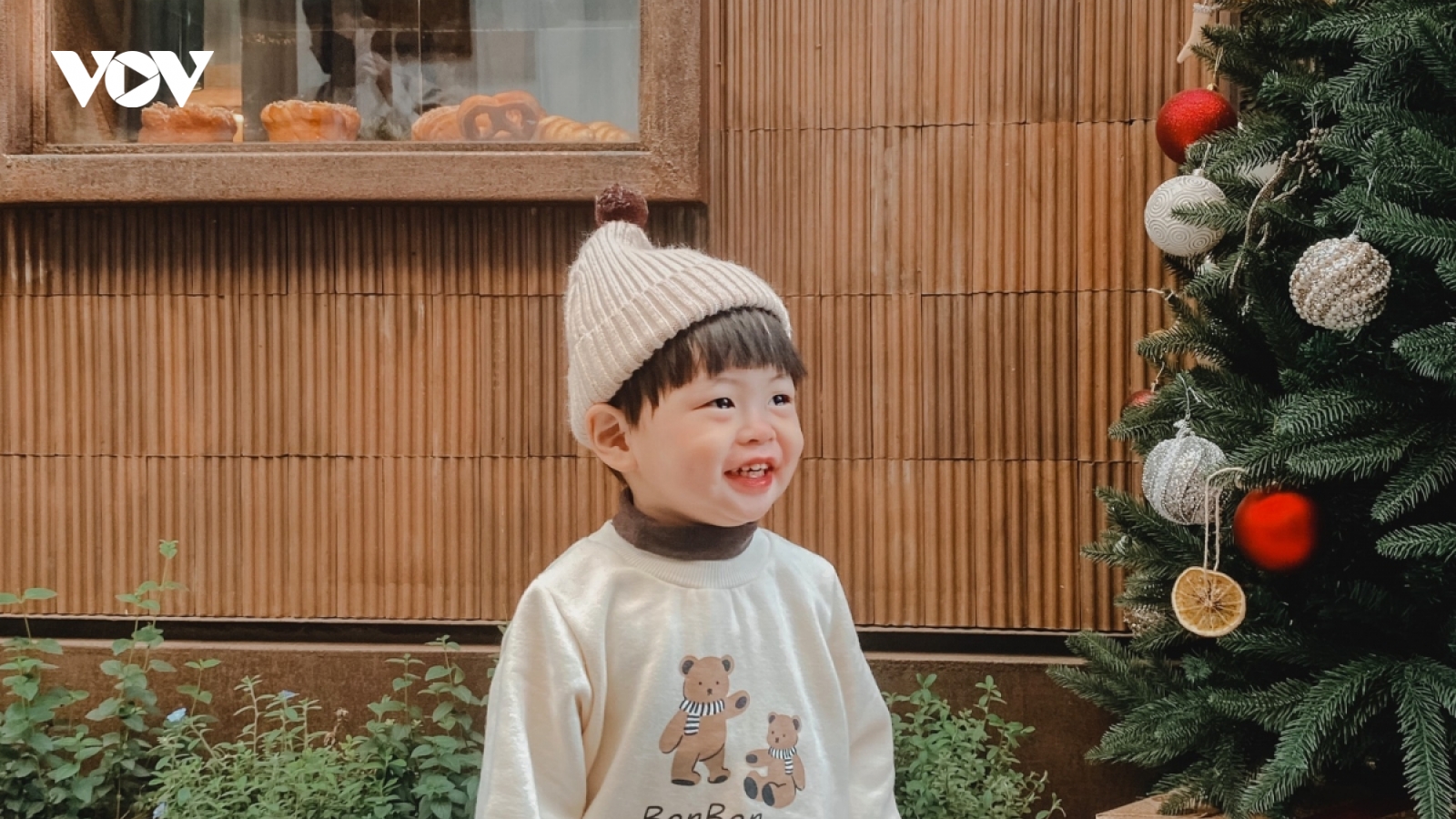 Biểu cảm "cưng xỉu" của bé trai bên cây thông Giáng sinh