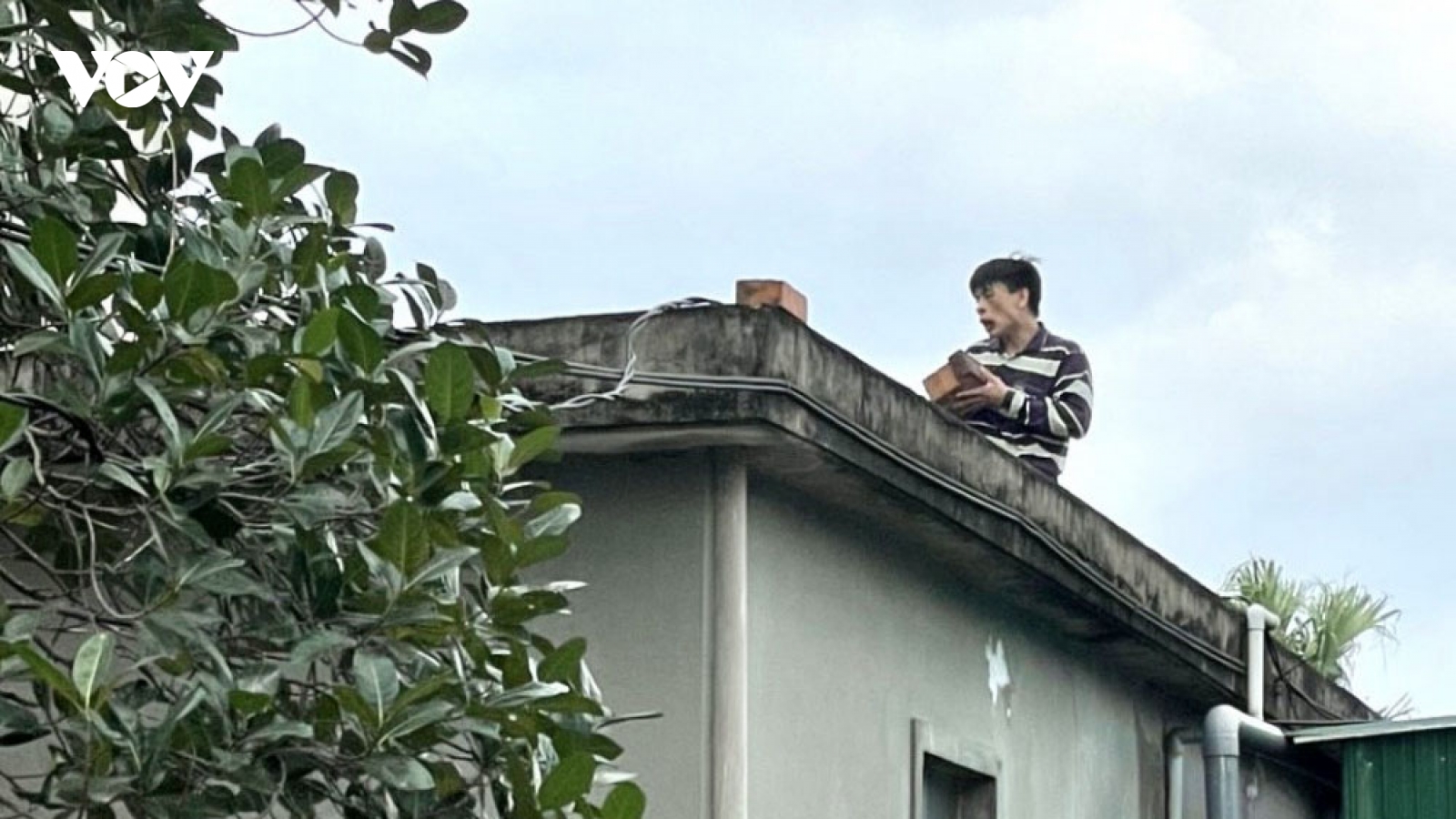 Gặp công an, đối tượng ngáo đá trèo lên mái nhà la hét