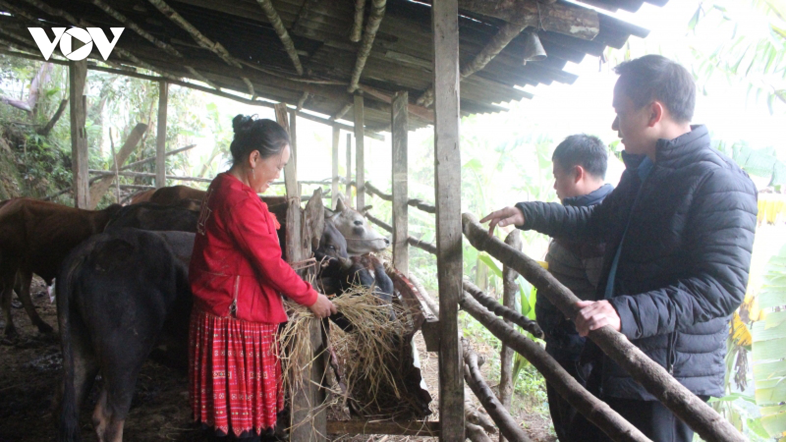 Vùng cao Sơn La chủ động bảo vệ "đầu cơ nghiệp"