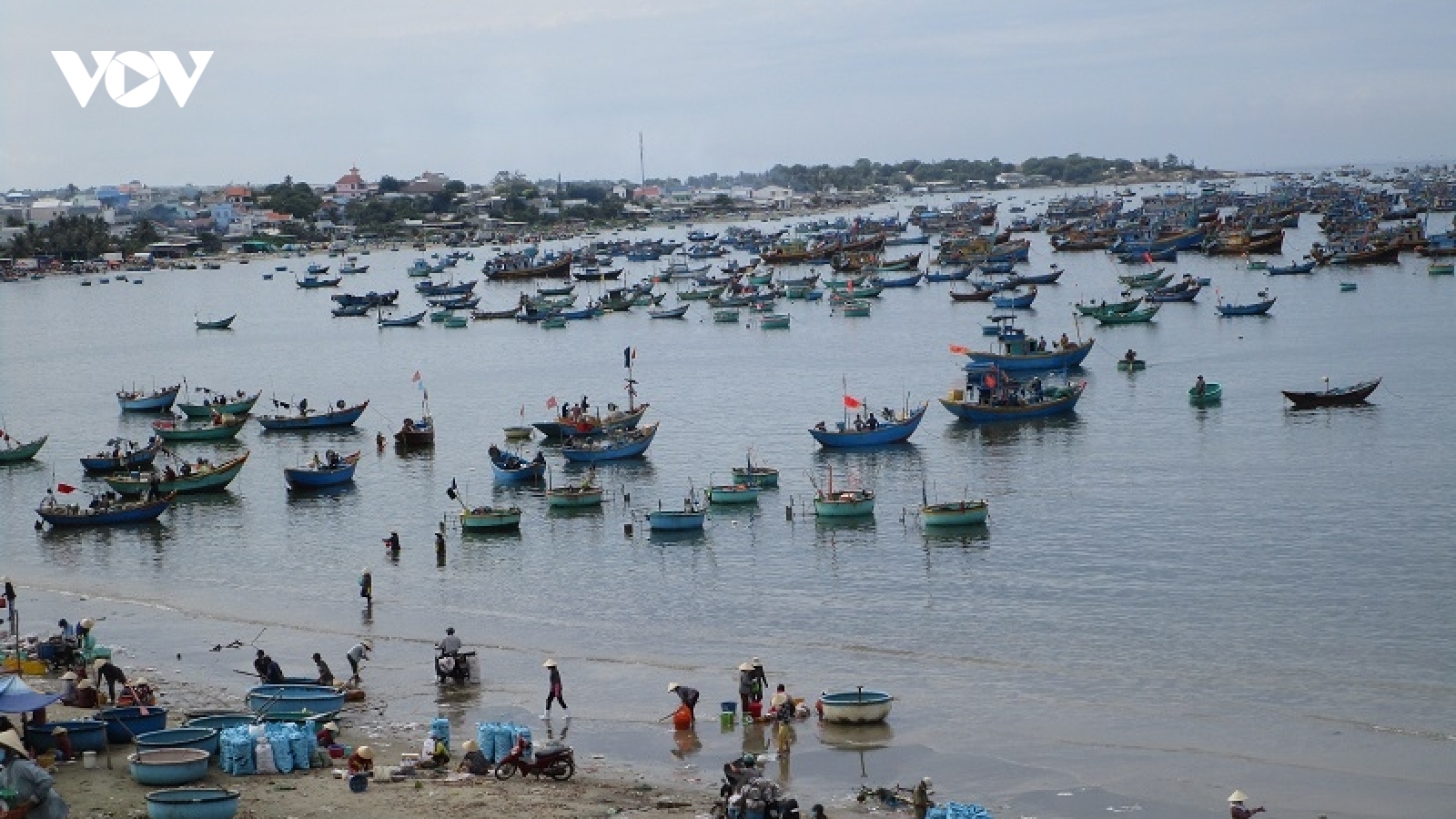 Bình Thuận yêu cầu các địa phương chủ động ứng phó với siêu bão RAI