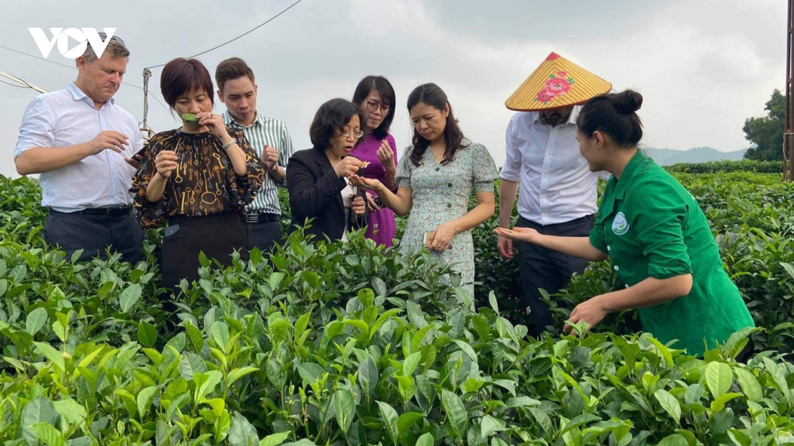 Thái Nguyên phát triển du lịch cộng đồng gắn với trải nghiệm nông nghiệp