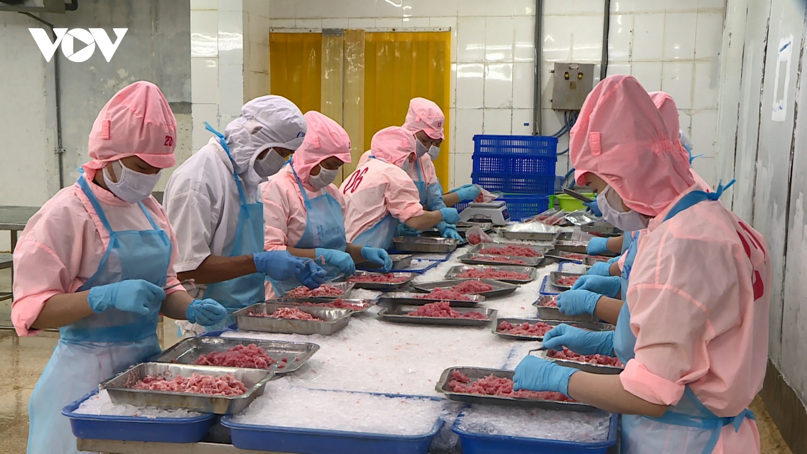 Phú Yên hỗ trợ doanh nghiệp thủy sản phục hồi sản xuất kinh doanh