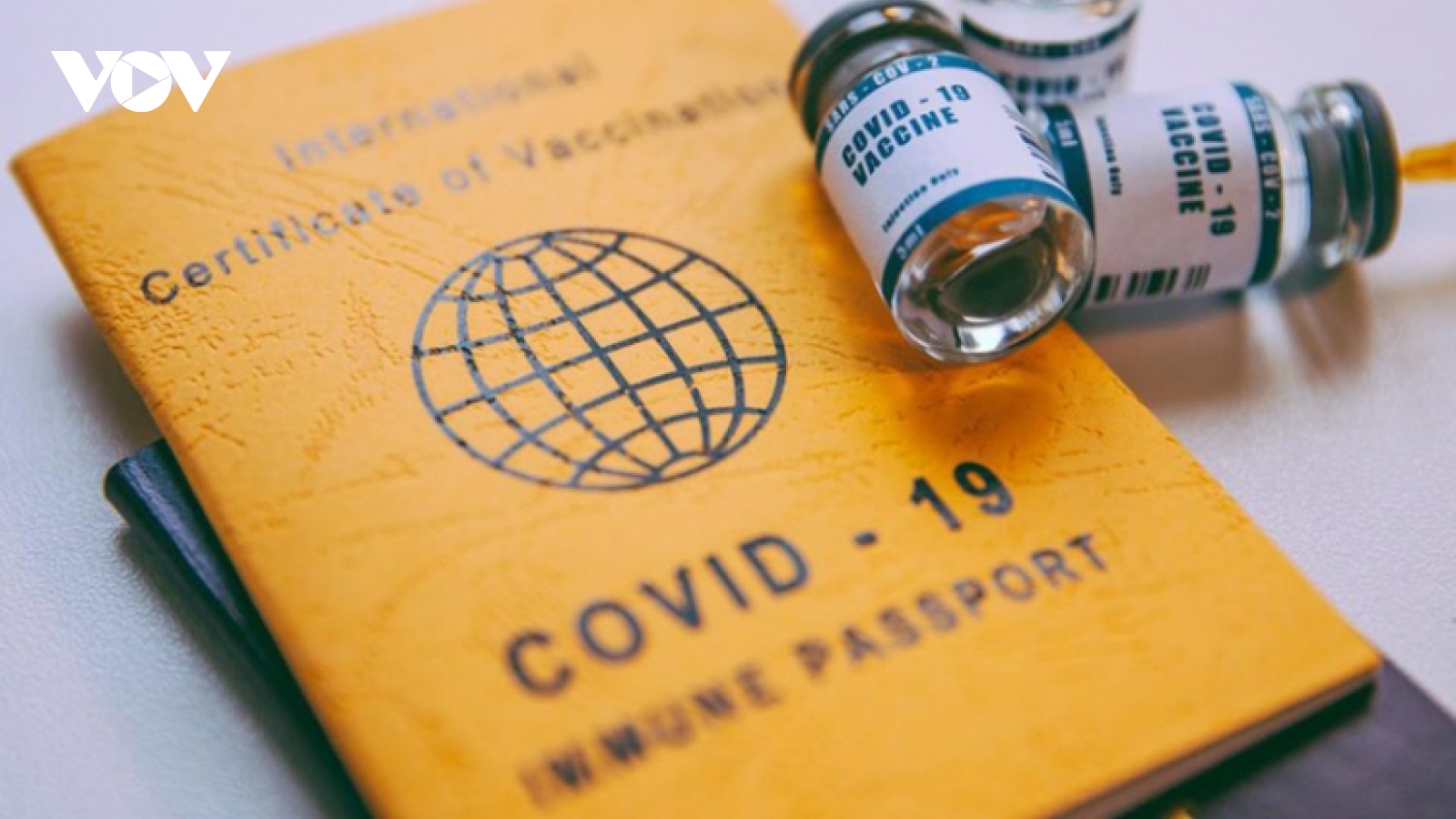 Procedures regarding COVID-19 vaccine passports for Vietnamese citizens