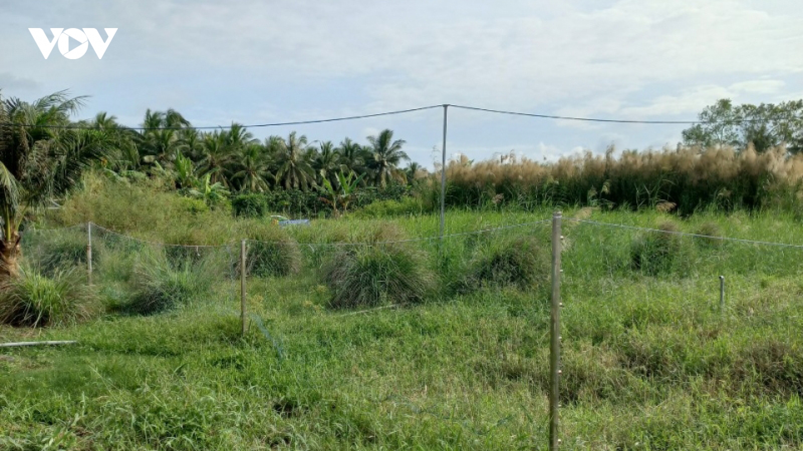 Dứt điểm giải quyết tình trạng khu công nghiệp rộng 285 ha bị bỏ hoang sau 20 năm