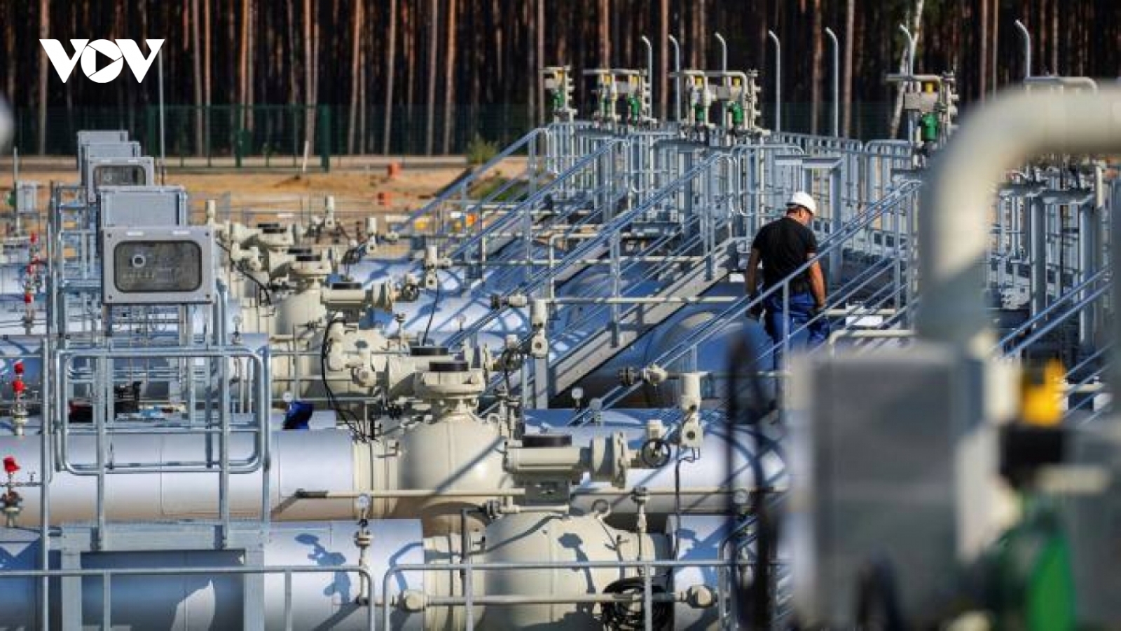 Giá gas tăng cao do căng thẳng Nga - Ukraine