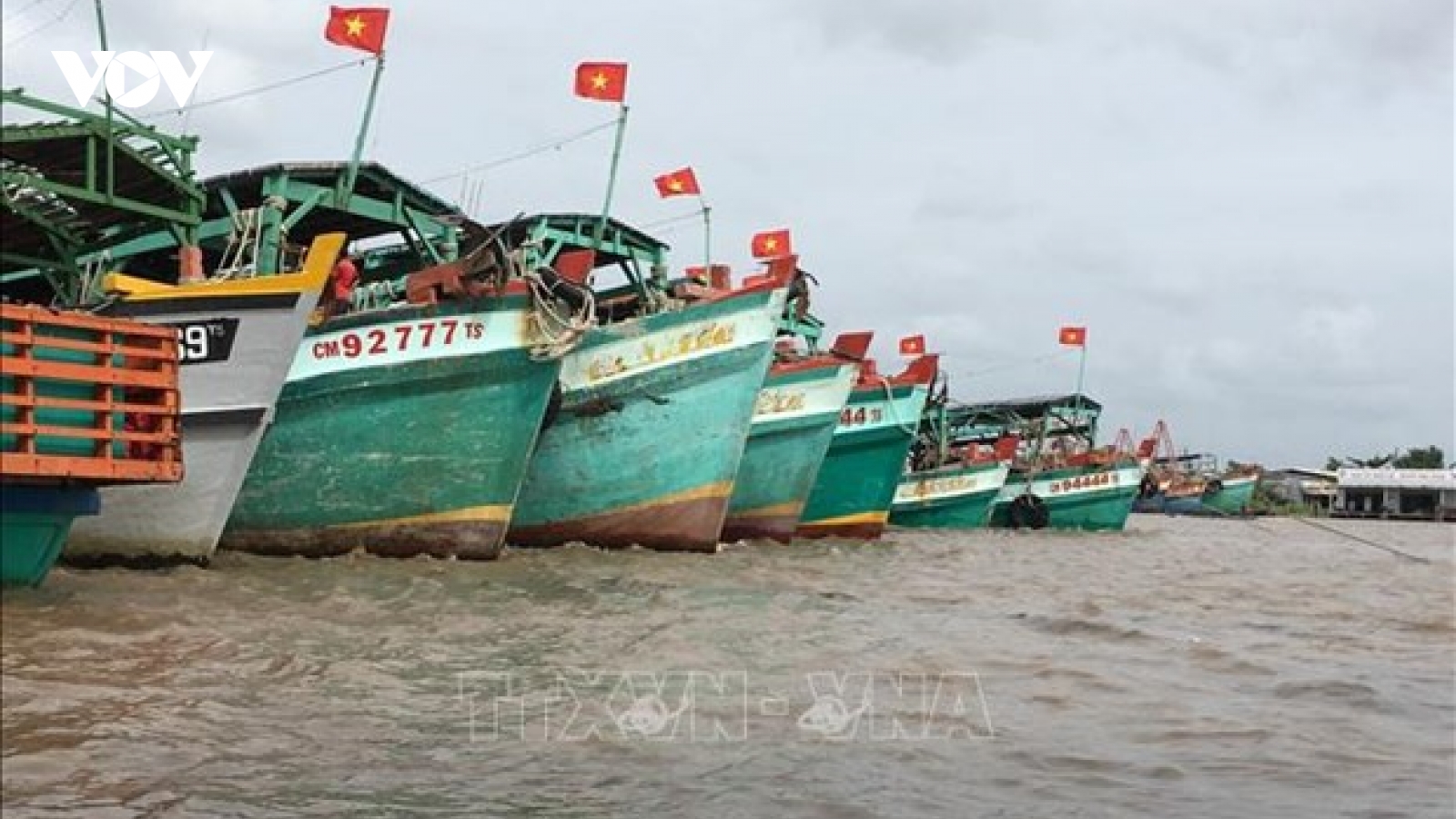 Ca Mau joins national efforts in IUU fishing combat