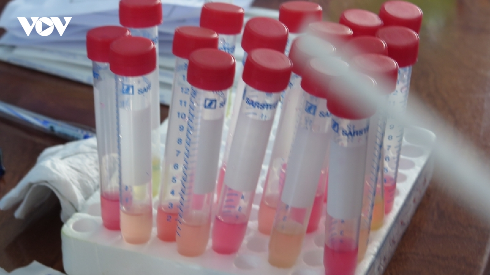 CDC Quảng Ngãi: Không nhận hoa hồng khi mua kit xét nghiệm của Công ty Việt Á