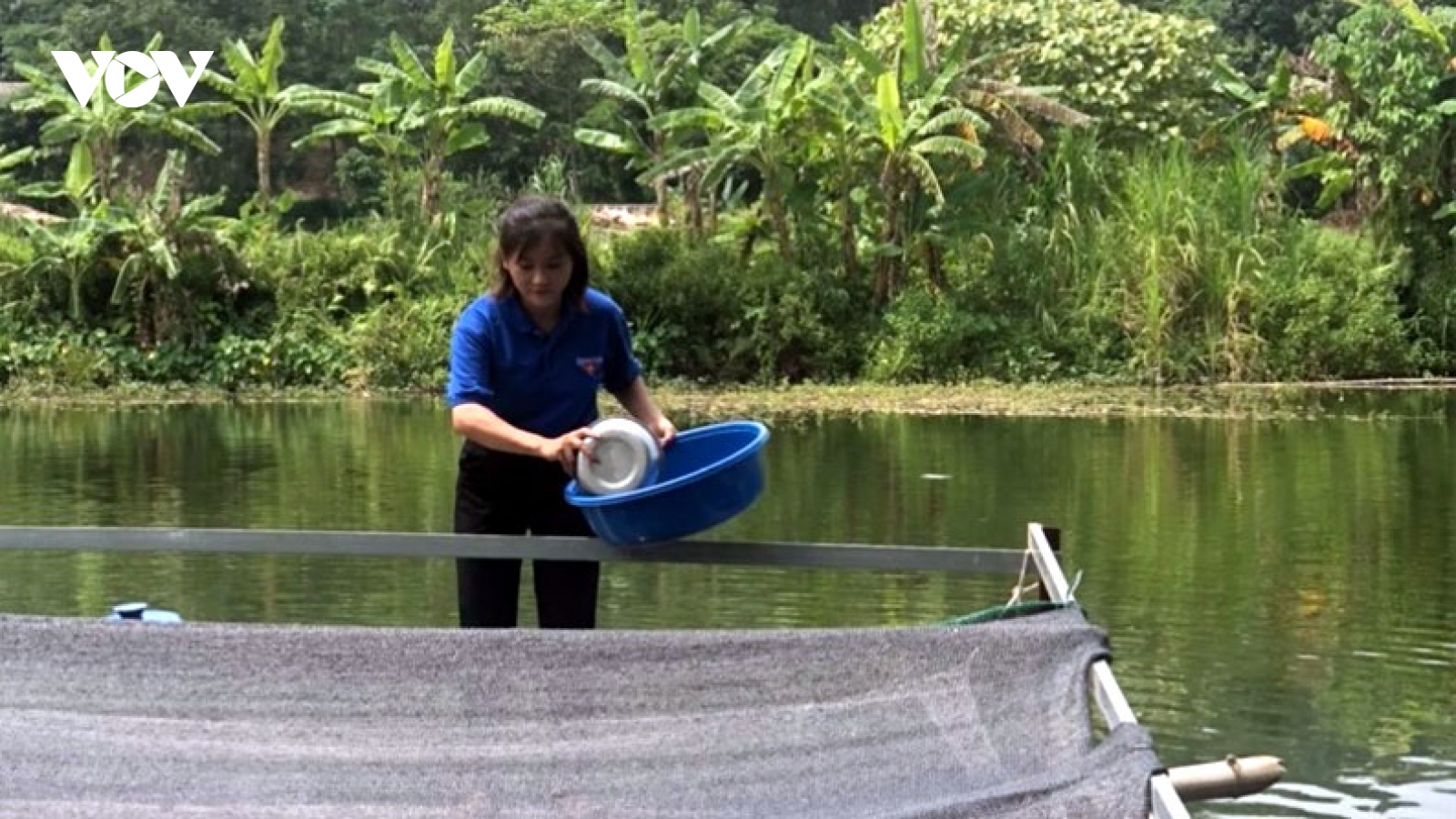 Nuôi con “ăn chìm, ăn nổi”, nữ đoàn viên khởi nghiệp thành công