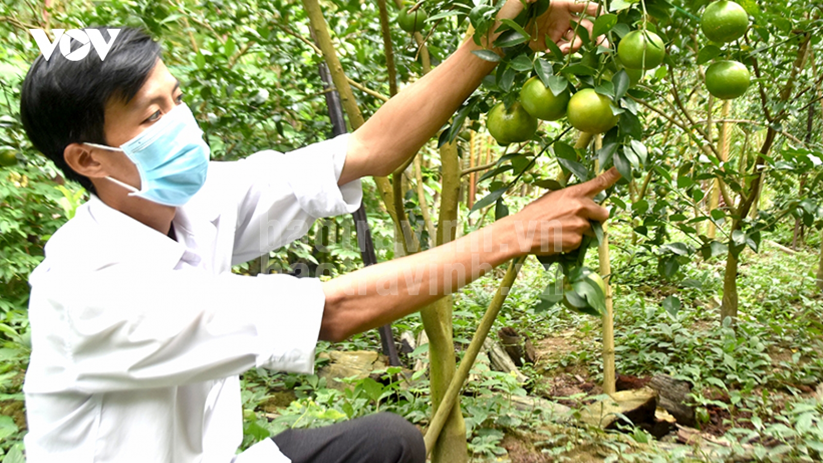 Vận động hội viên vào kinh tế tập thể