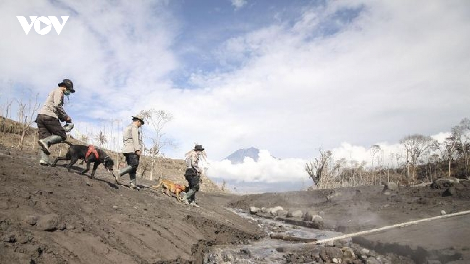 Núi Semeru lại phun trào, Indonesia đình chỉ tìm kiếm nạn nhân