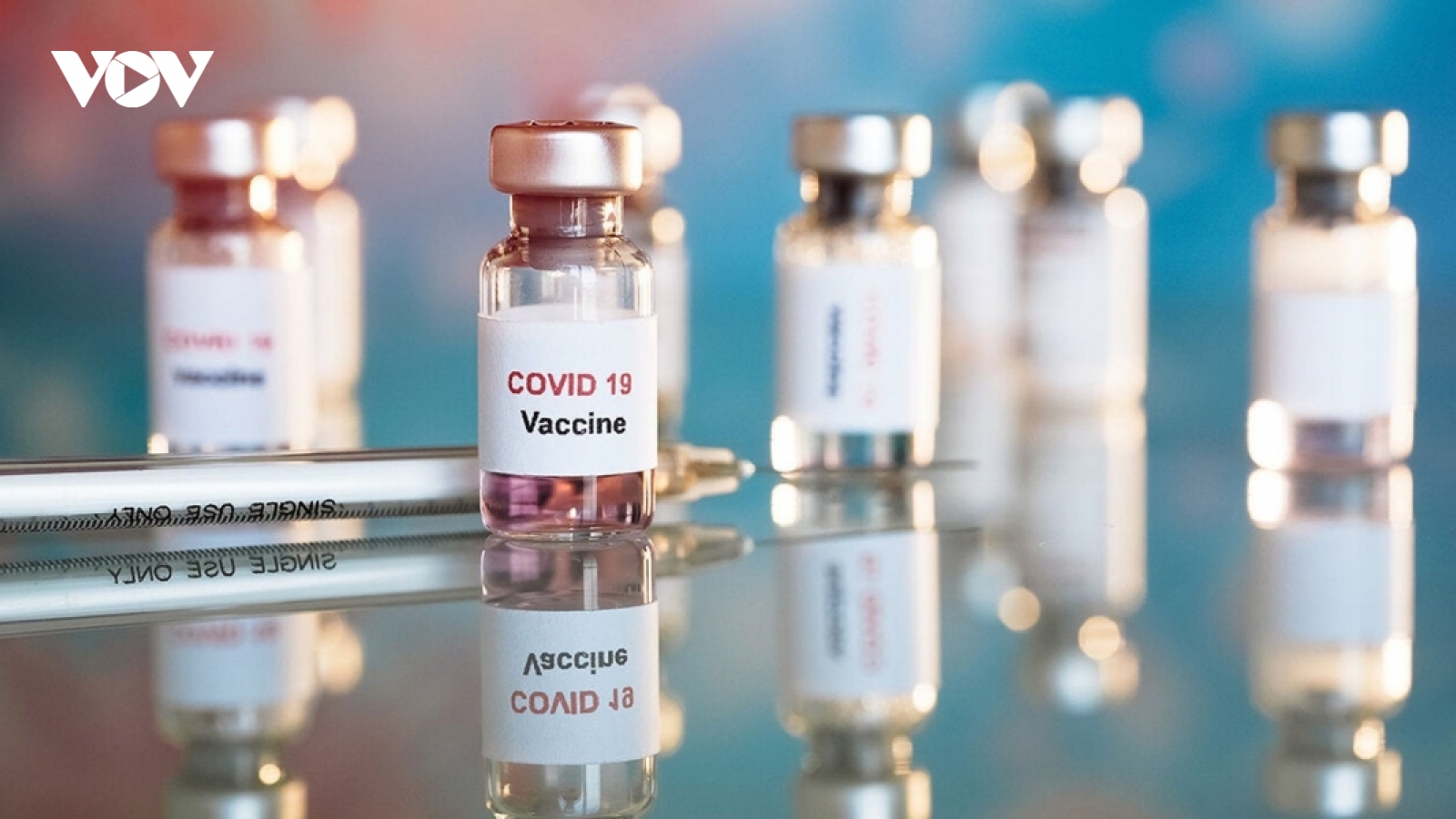 Việt Nam kêu gọi HĐBA thúc đẩy tiếp cận vaccine công bằng