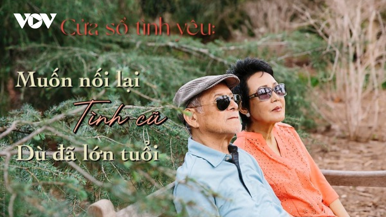 Muốn nối lại tình cũ dù đã lớn tuổi