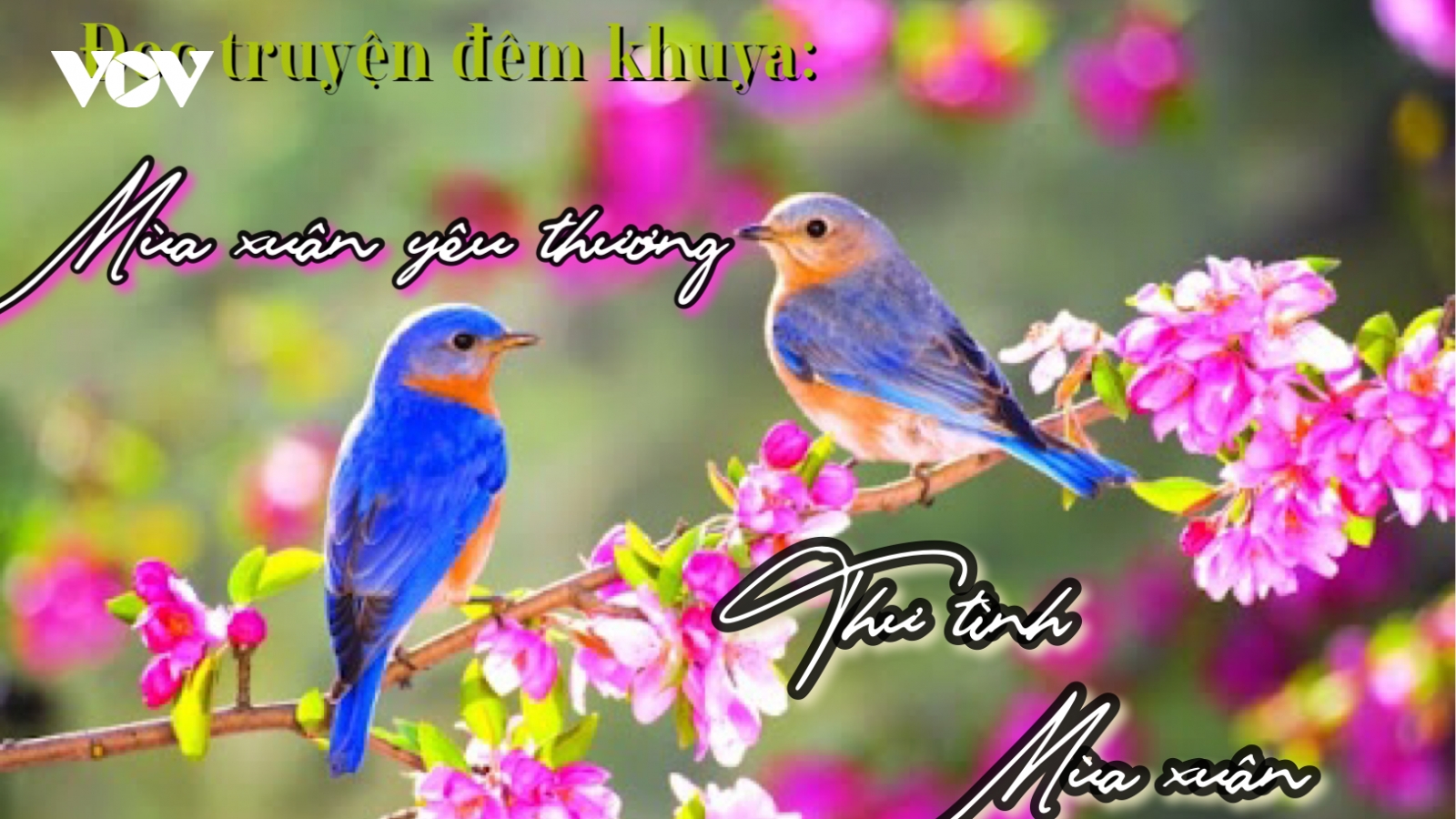 Những sắc thái tình yêu trong hai truyện ngắn "Mùa xuân yêu thương" và "Thư tình mùa xuân”